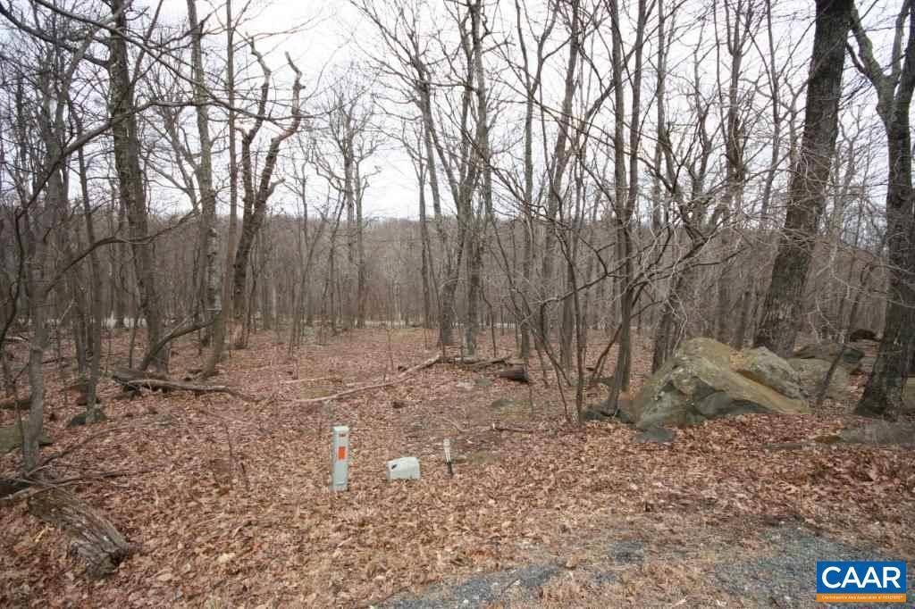 Wintergreen, VA 22958,95 DEERBERRY LN LN #LOT 11, SHAMOKIN SPR