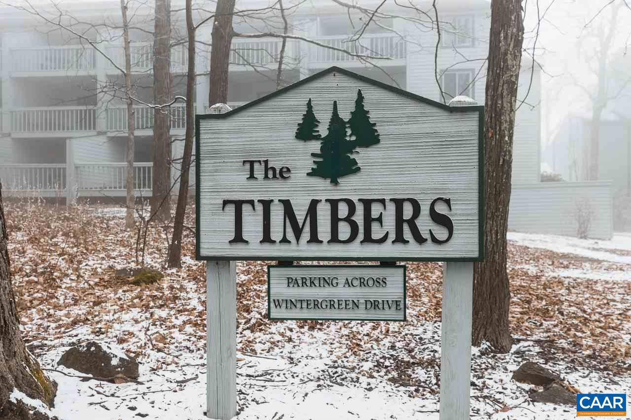 Wintergreen Resort, VA 22967,250 TIMBERS CONDOS