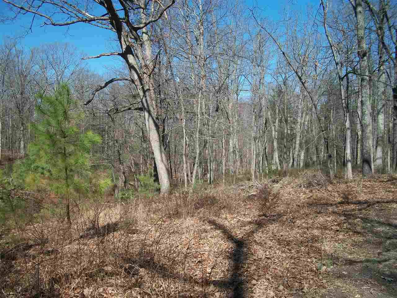 Earlysville, VA 22936,LOT 2 BUCK MOUNTAIN RD RD #2