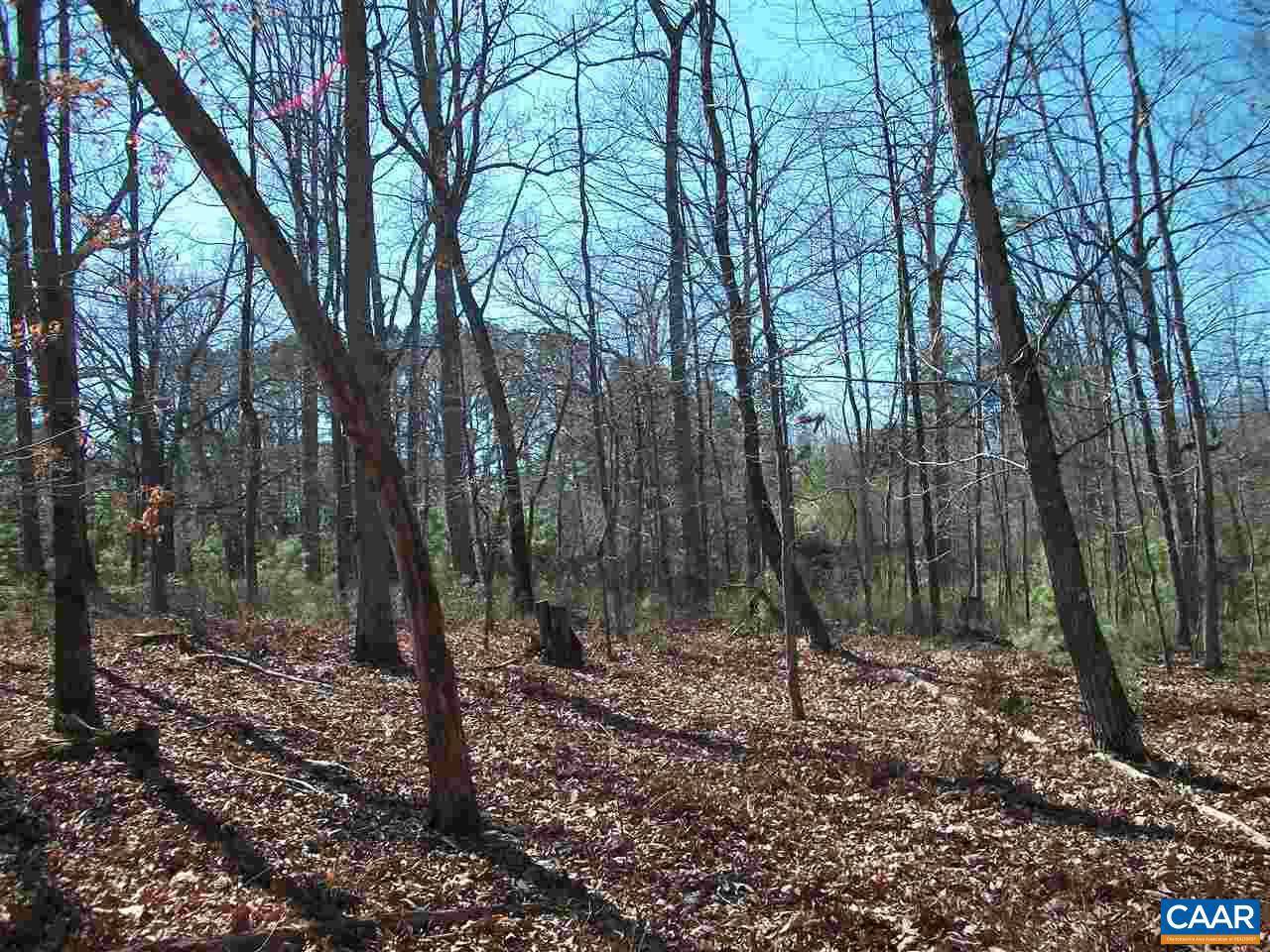 Earlysville, VA 22936,LOT 2 BUCK MOUNTAIN RD RD #2