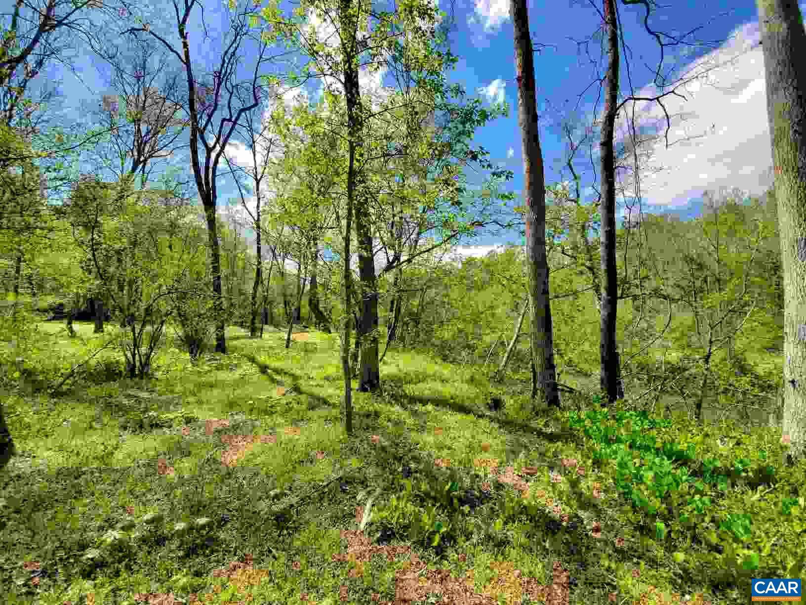 Barboursville, VA 22923,LOT 11 RAPIDAN WAY BND