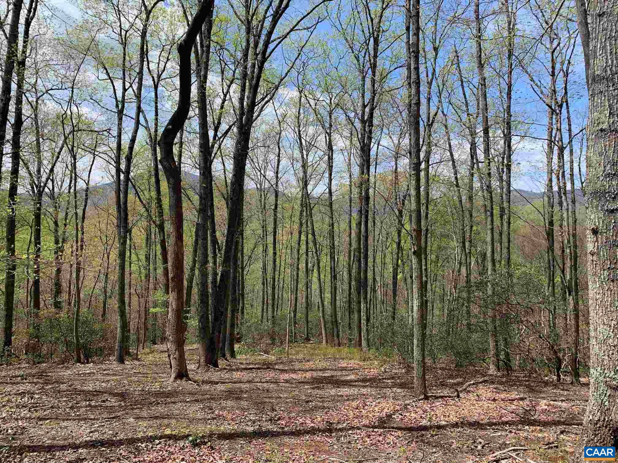 Nellysford, VA 22958,LOT 6 EAGLES RIDGE RD RD