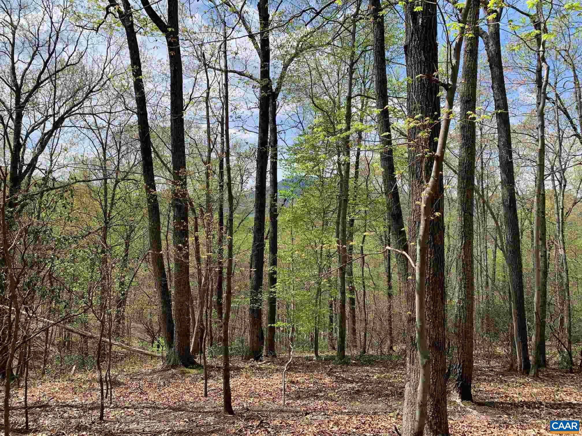 Nellysford, VA 22958,LOT 6 EAGLES RIDGE RD RD