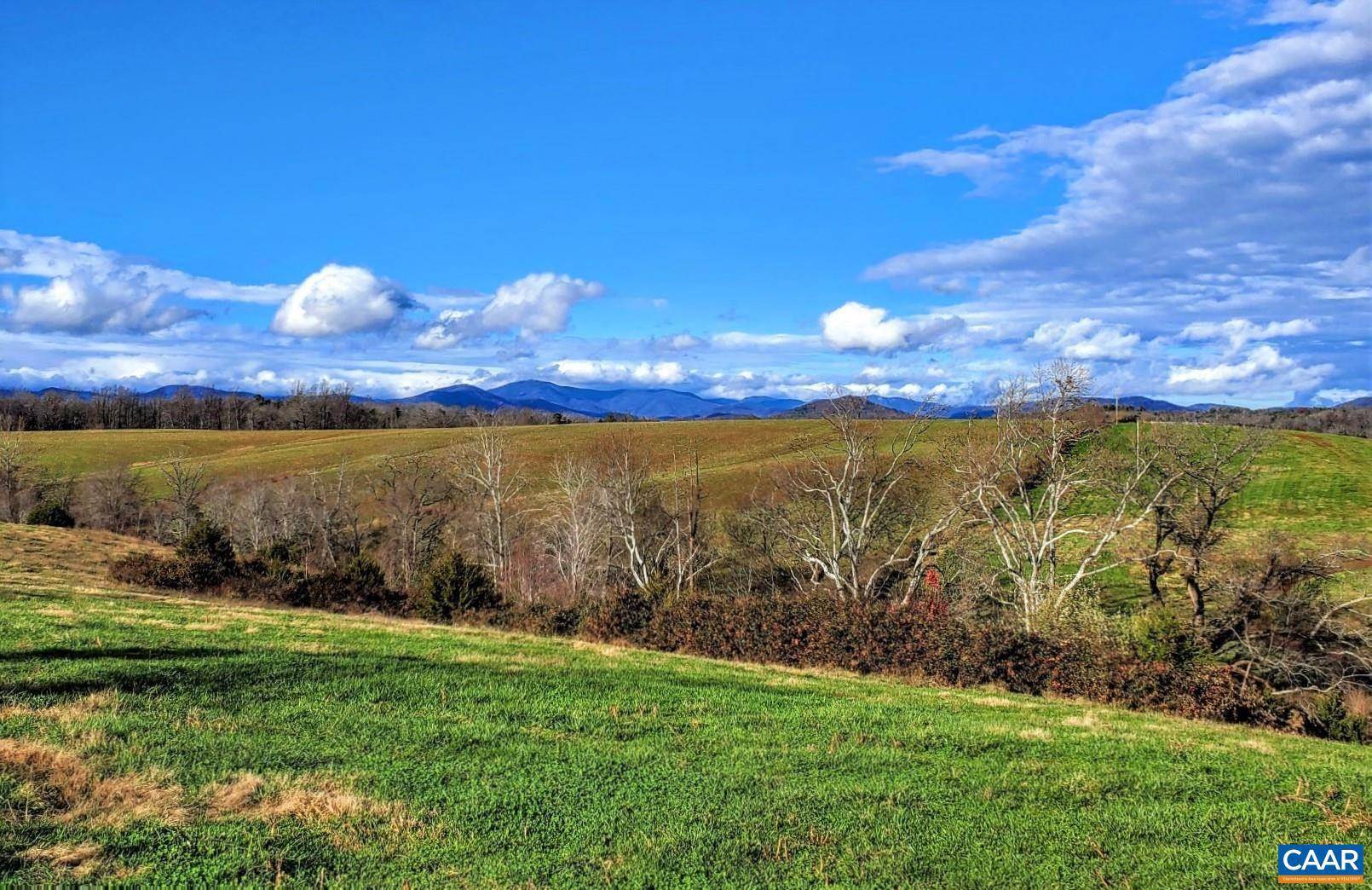 Ruckersville, VA 22968,LOT 5 FREDERICKSBURG RD RD #5