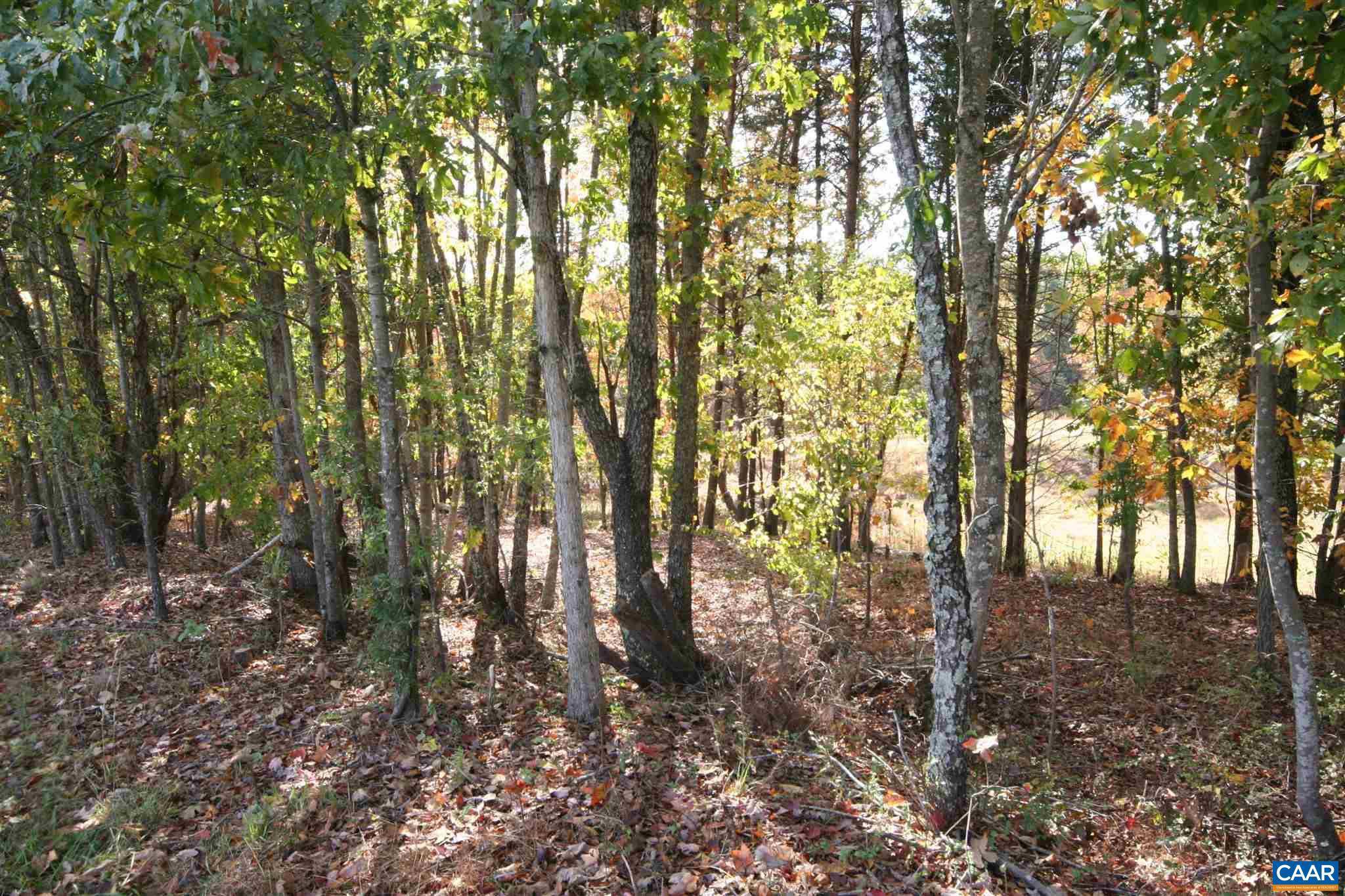 Howardsville, VA 24562,TBA LOT A LOGAN RD #LOT A