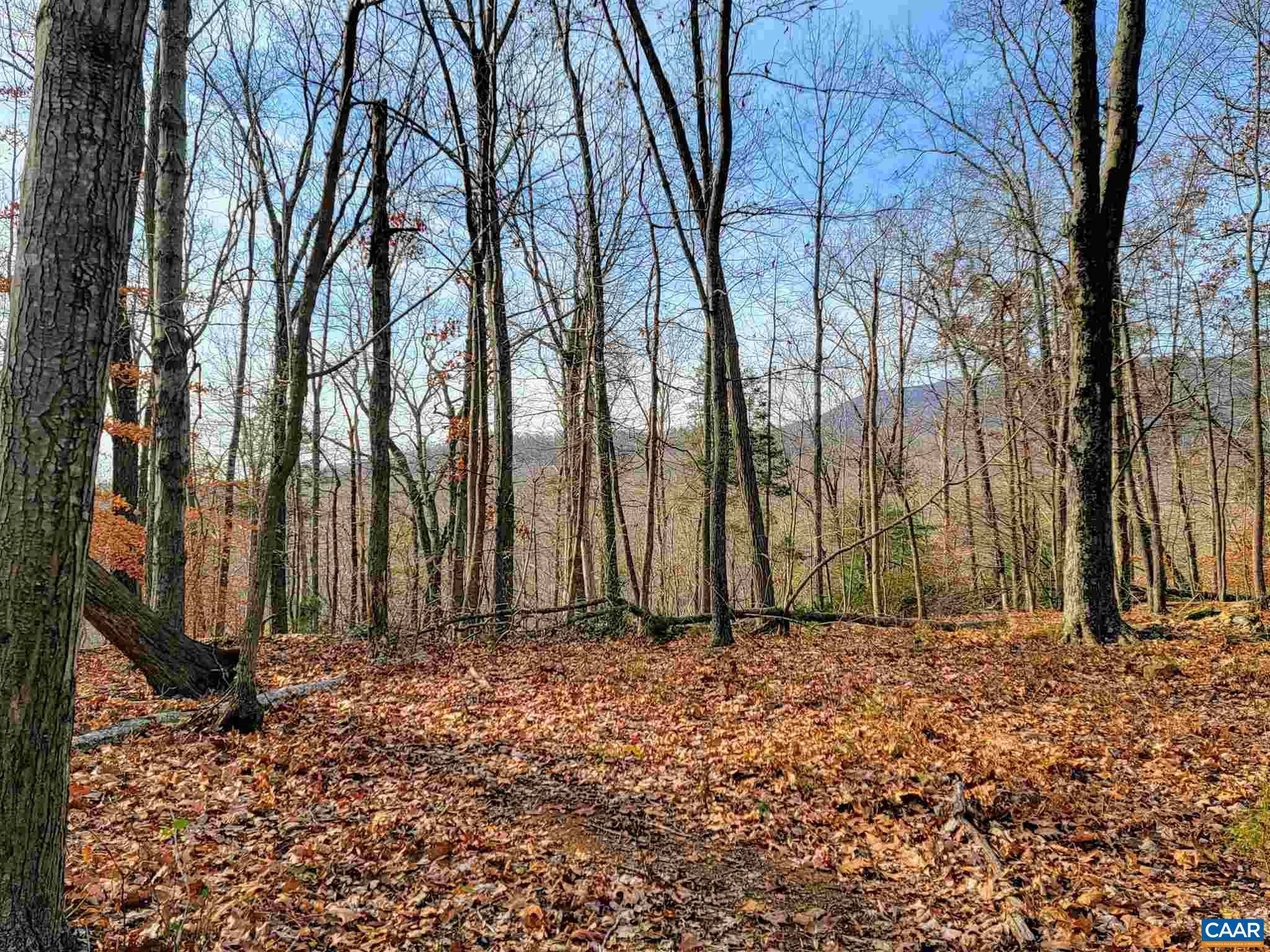 Afton, VA 22920,LOT I BLUNDELL HOLLOW RD #I