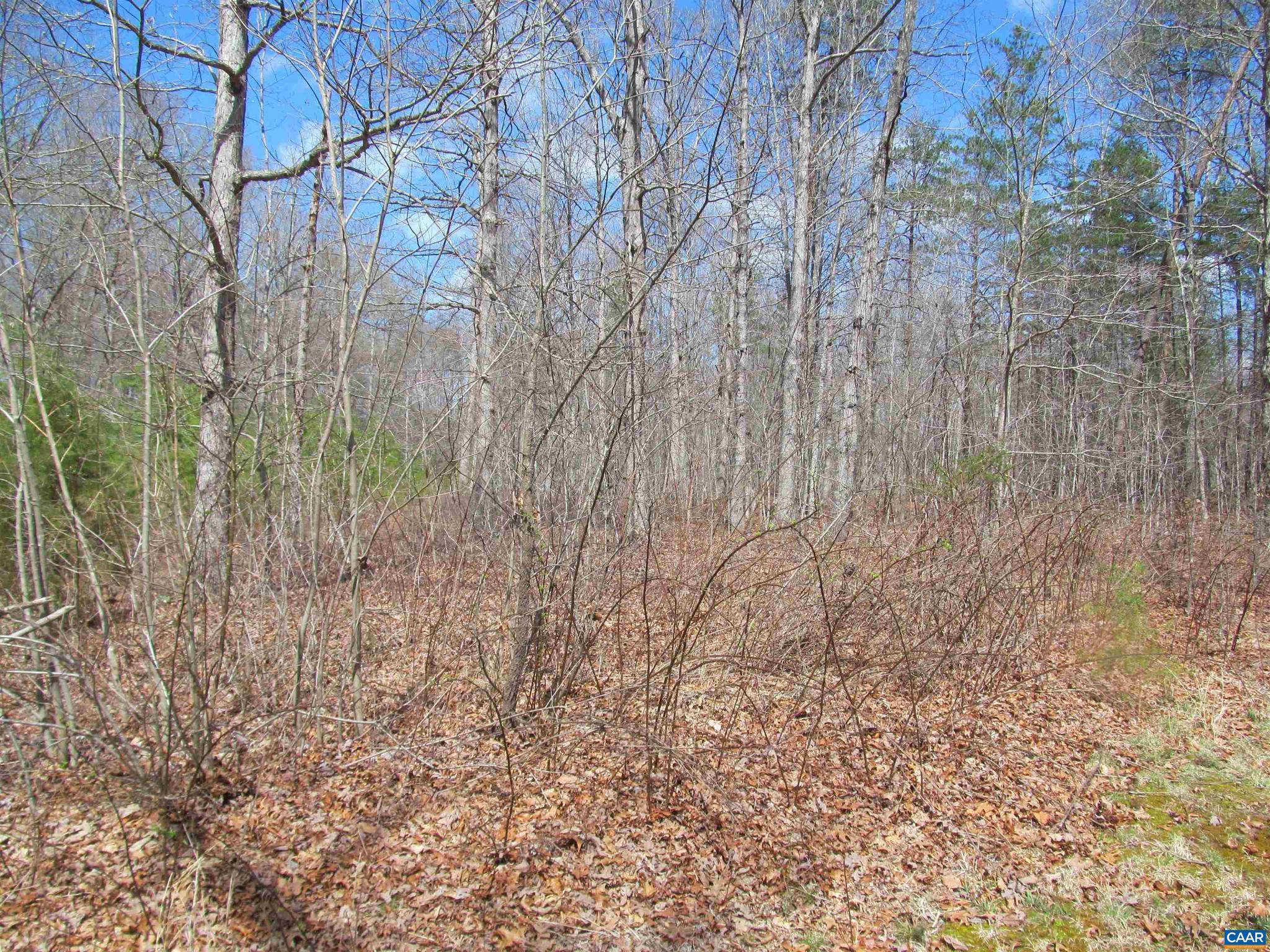 Culpeper, VA 22701,0 BISON LN #LOT 3A ON PLAT