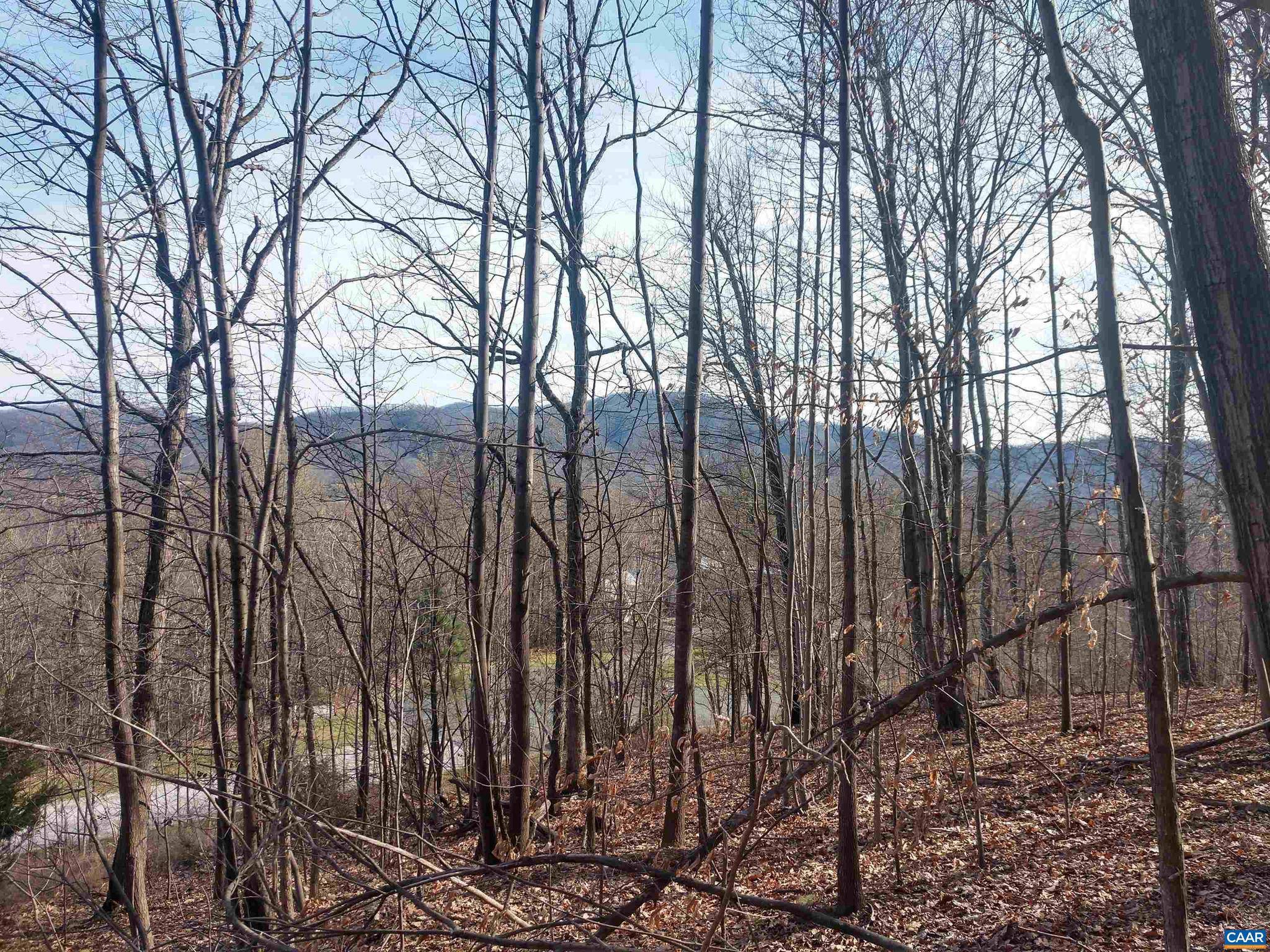 Nellysford, VA 22958,LOT 7 ROCKFISH HEIGHTS LN #7