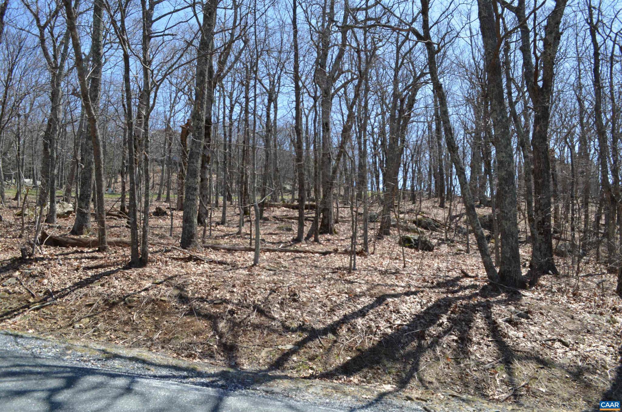 Wintergreen Resort, VA 22967,LOT 46 BEECH DR #098A-1-46