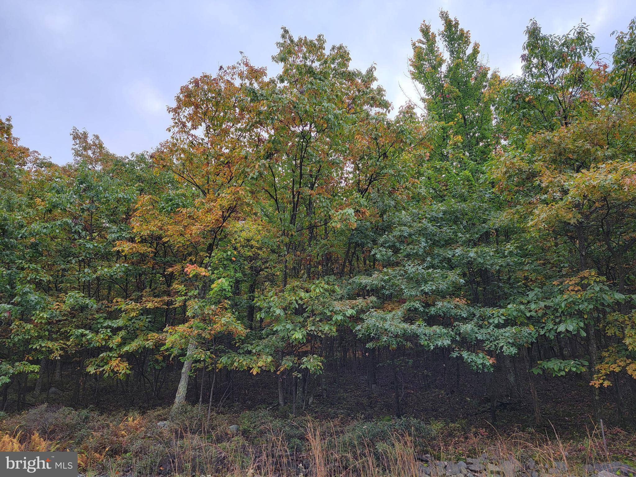 Hazle Township, PA 18201,LOT 82 ELDERBERRY