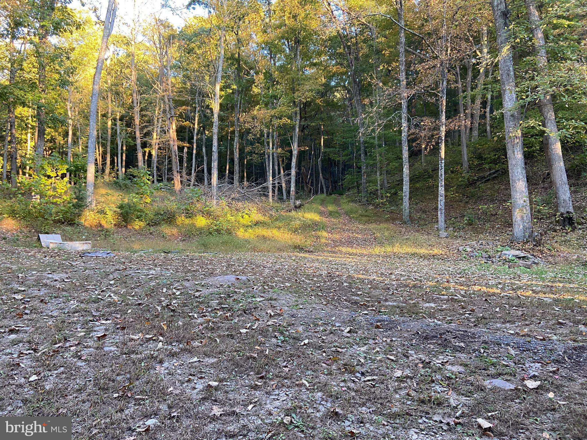 Milam, WV 26838,LOT 103 WILSON RUN TRL