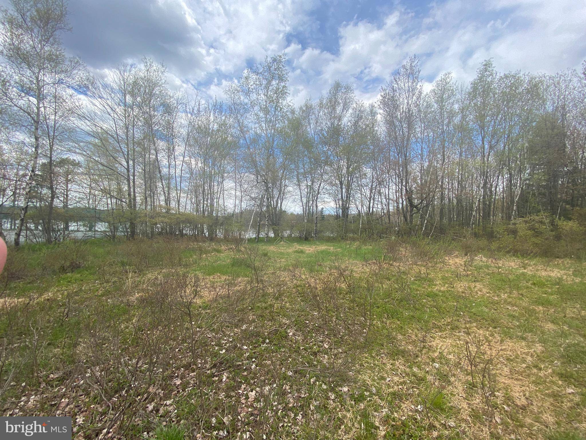 Pocono Summit, PA 18346,LOT 300 SYLVAN