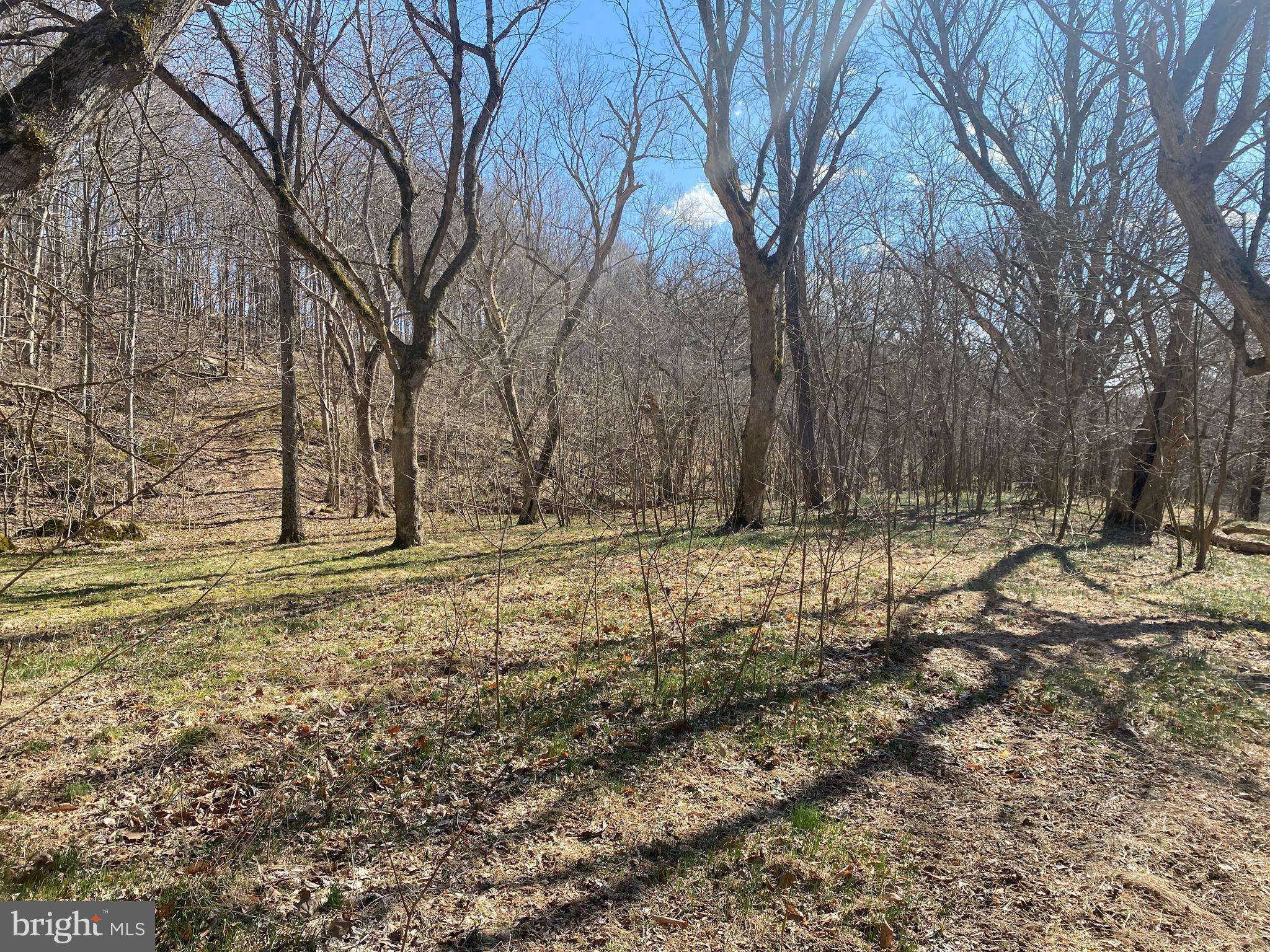 Sharpsburg, MD 21782,LOT 15 MILLS RD