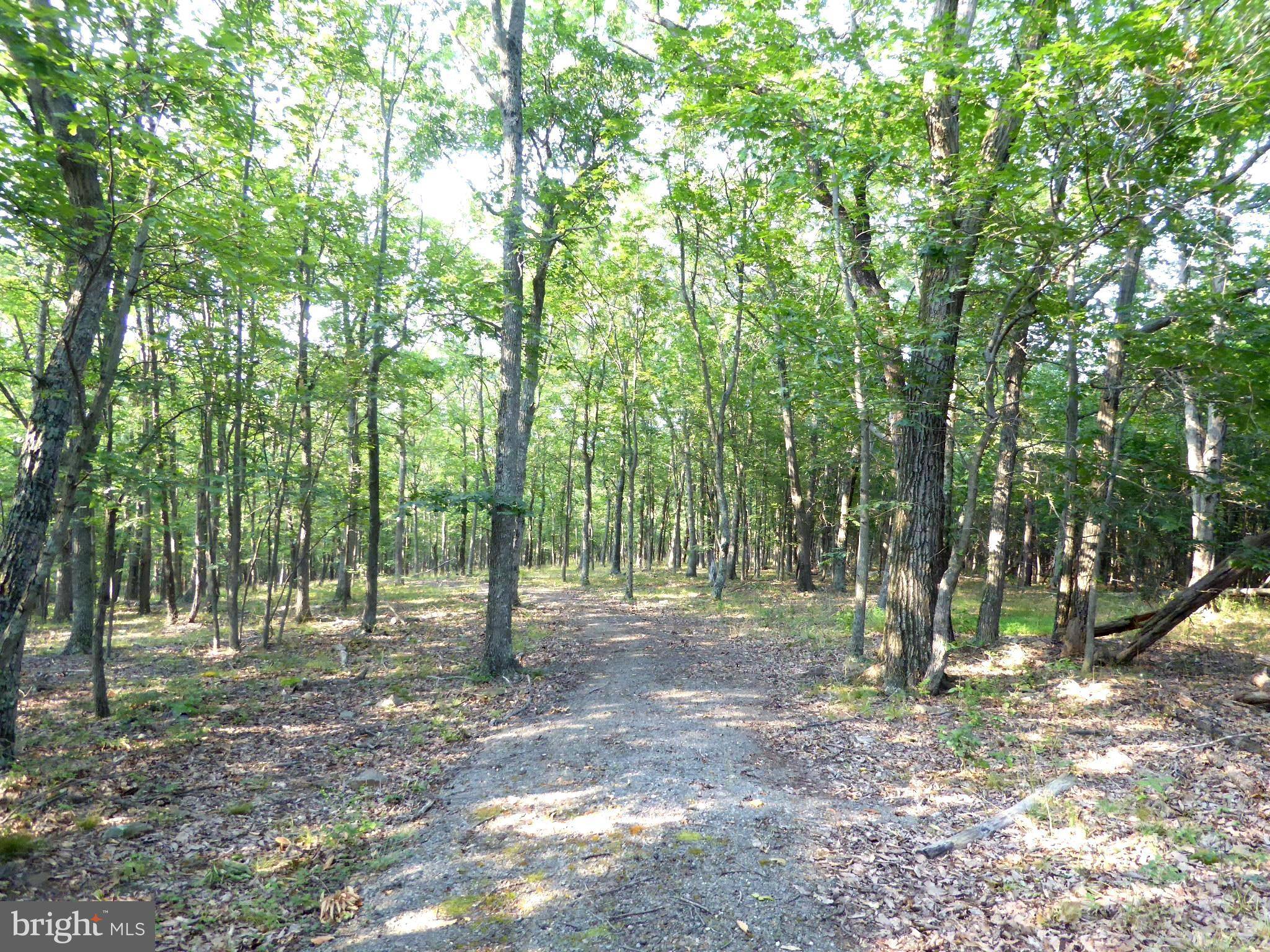 Springfield, WV 26763,LOT 80 BLUFFS SPRING HOLW