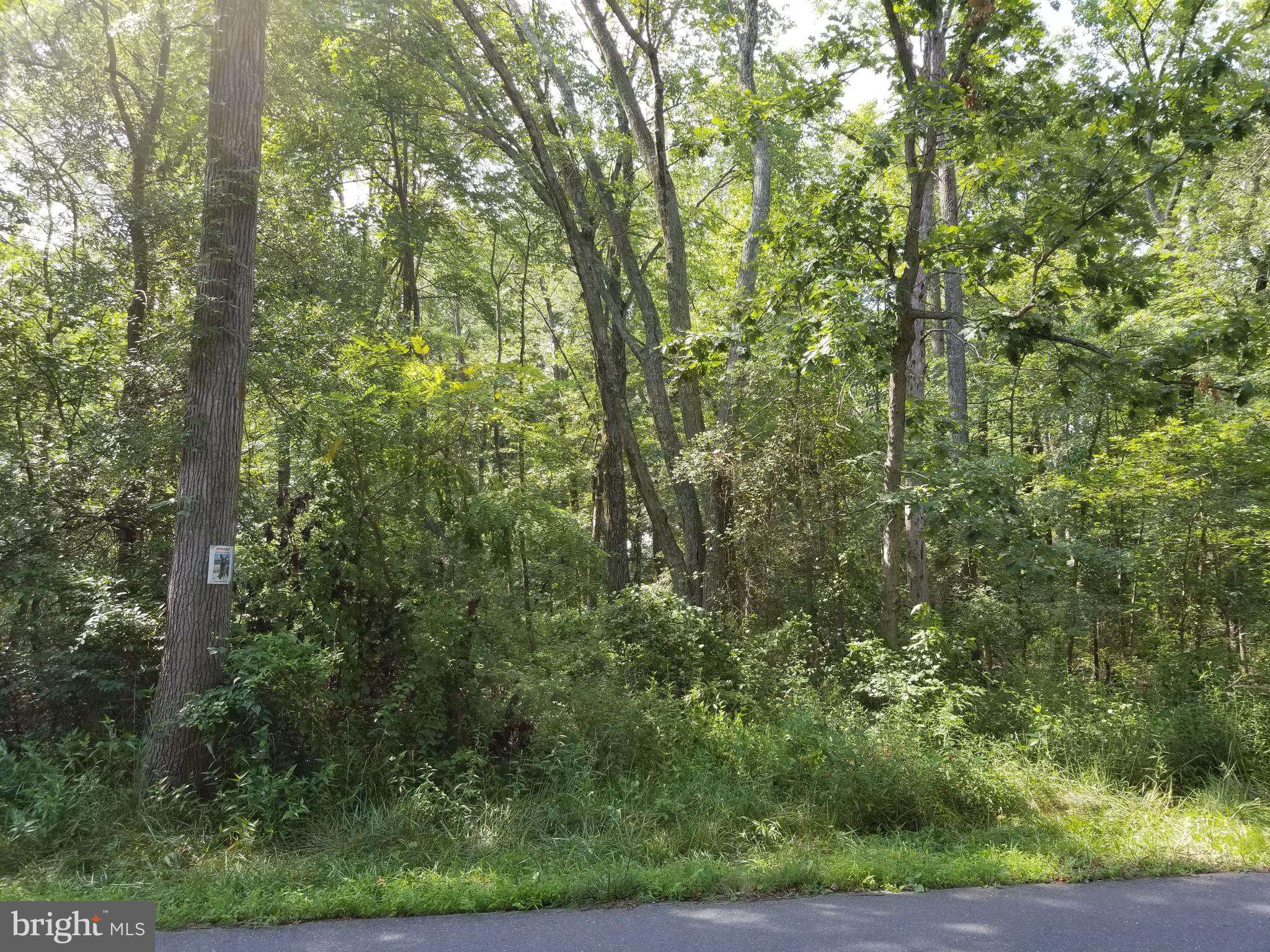 Middle River, MD 21220,LOT 159 REVOLEA BEACH RD