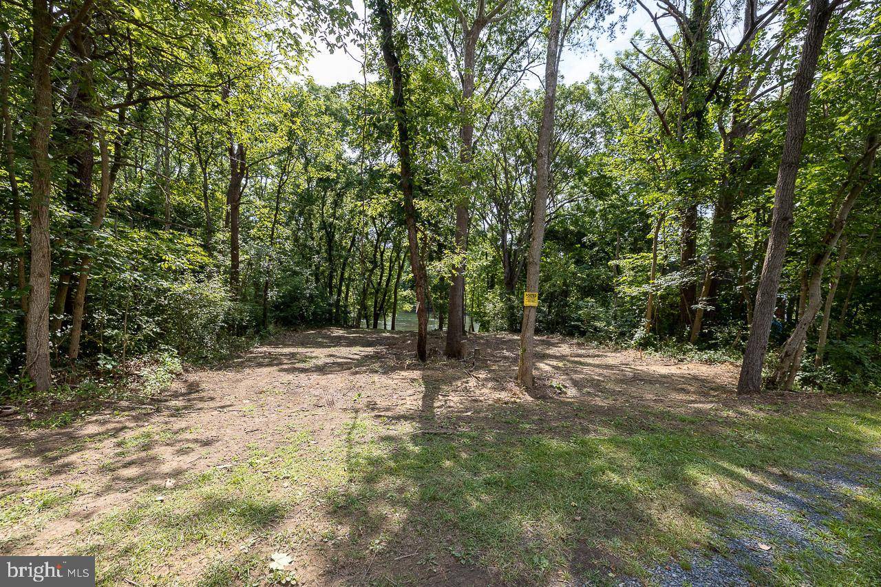 Luray, VA 22835,LOT 12 FISHERMANS LN