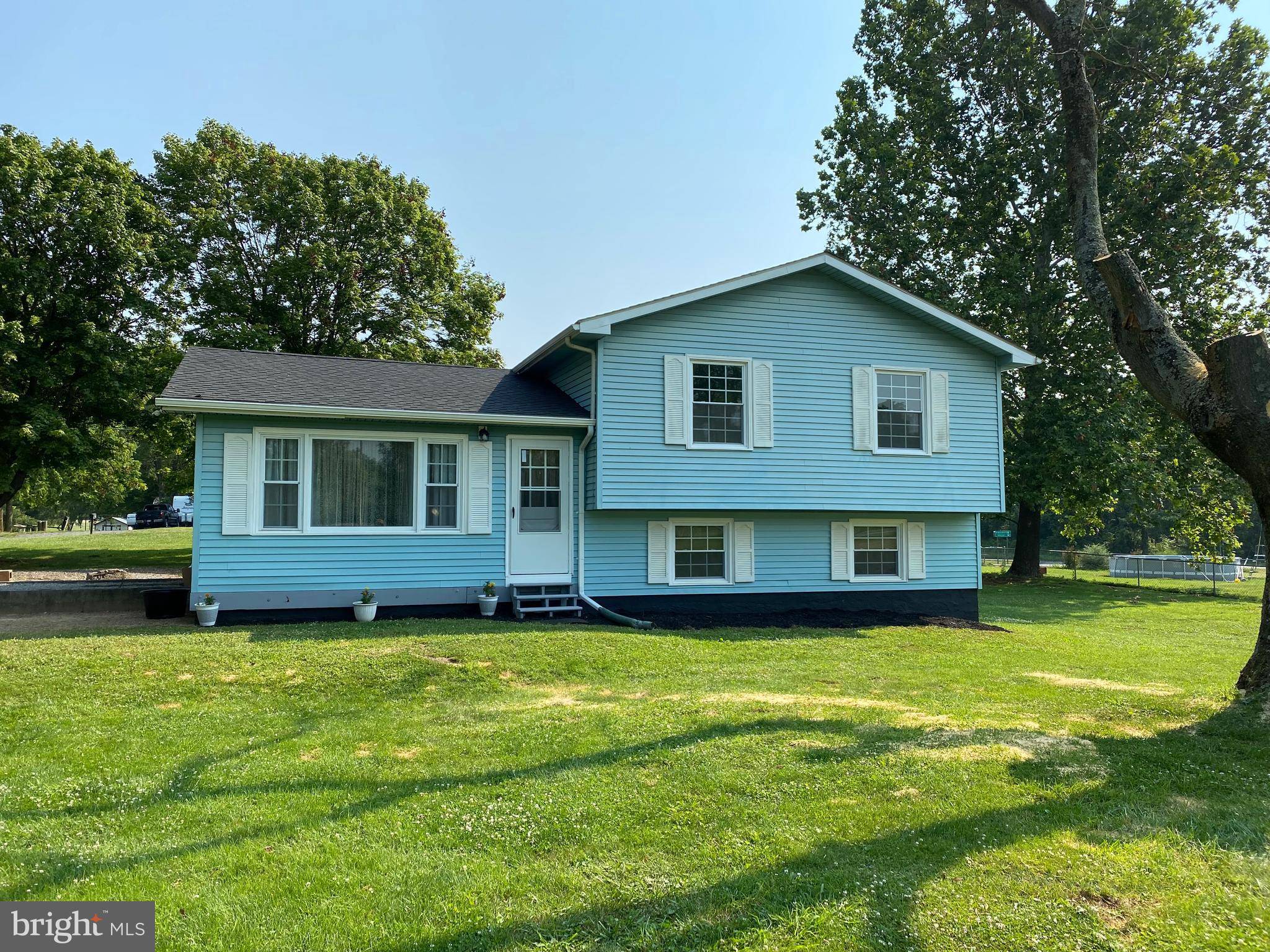 Falling Waters, WV 25419,41 WEEPING WILLOW