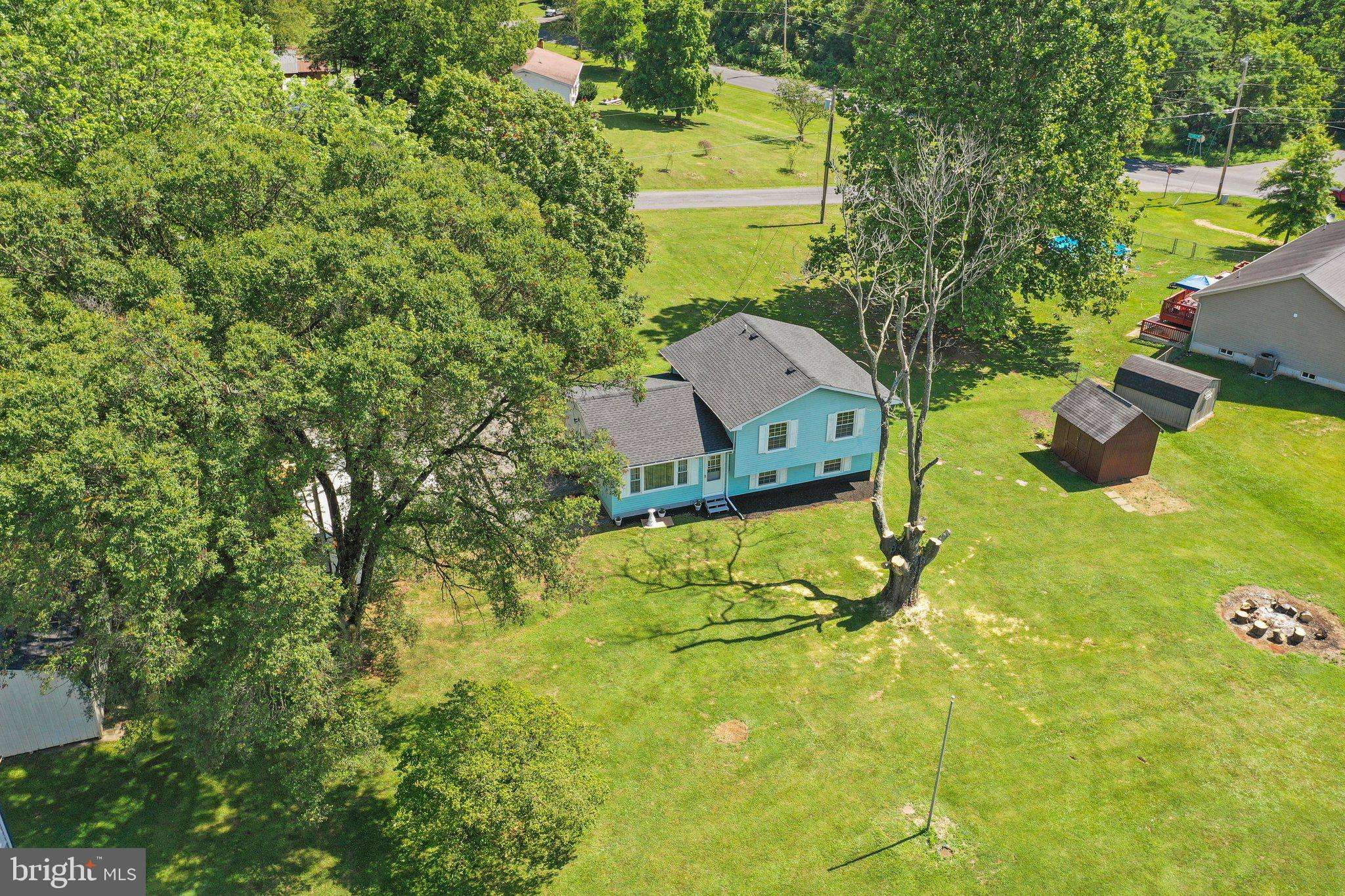 Falling Waters, WV 25419,41 WEEPING WILLOW