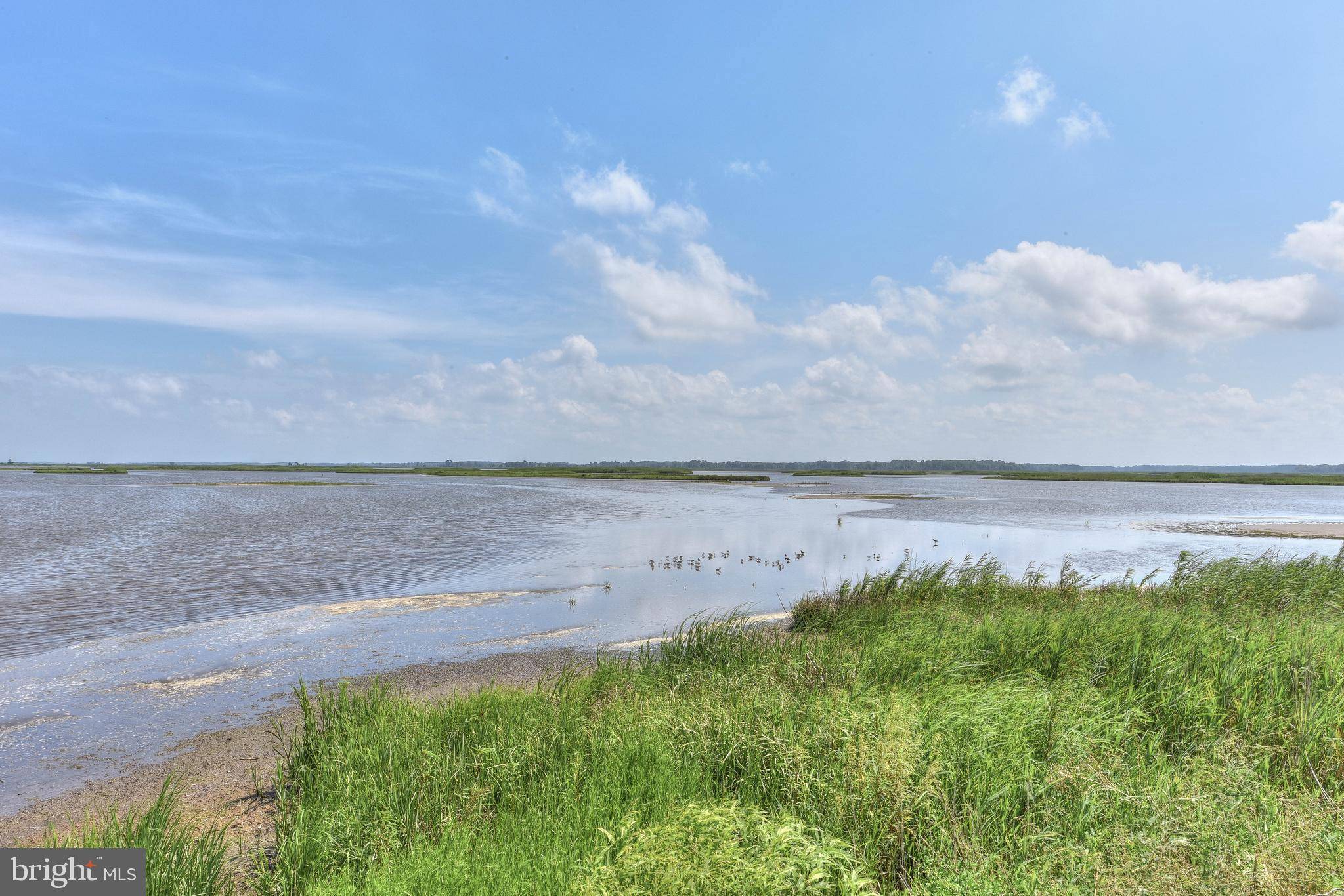 Milford, DE 19963,29287 CLIFTON SHORES DR