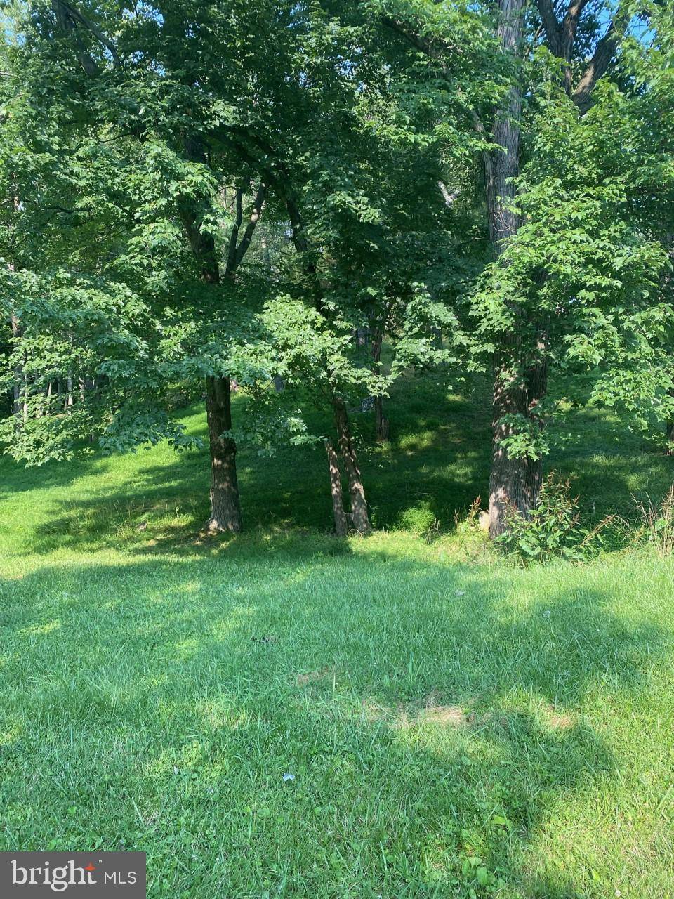 Falling Waters, WV 25419,0 JEANNA