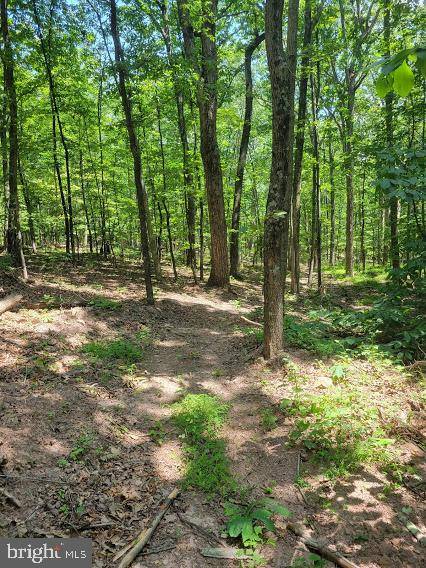 Bloomery, WV 26817,LOT 3 FALCONWOOD RD