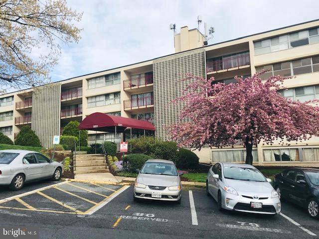 Silver Spring, MD 20903,9201 NEW HAMPSHIRE AVE #102