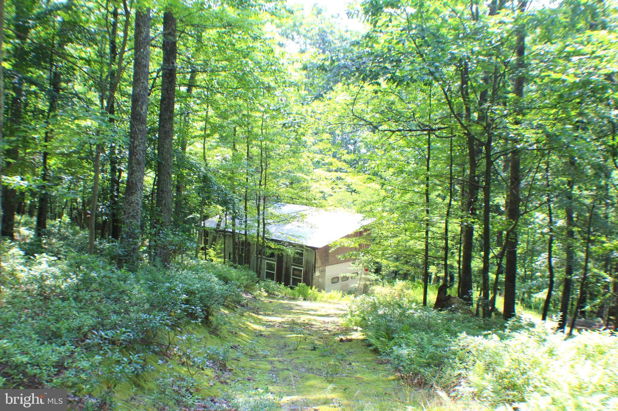 Old Fields, WV 26845,15.44 ACRES HIGH KNOB RD