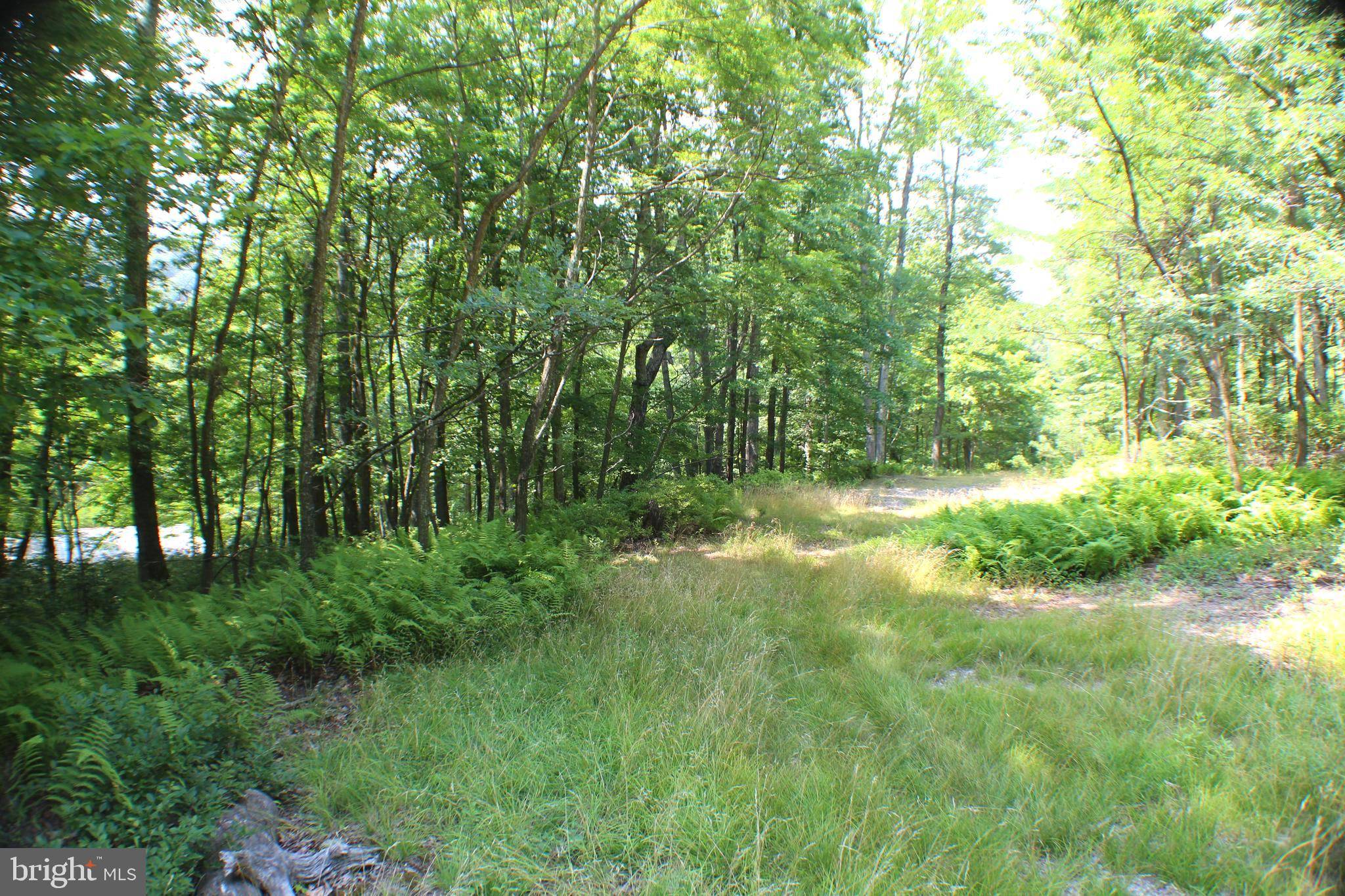 Old Fields, WV 26845,15.44 ACRES HIGH KNOB RD