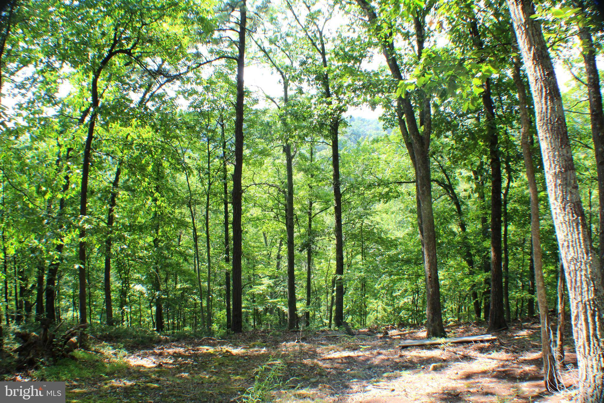 Old Fields, WV 26845,15.44 ACRES HIGH KNOB RD