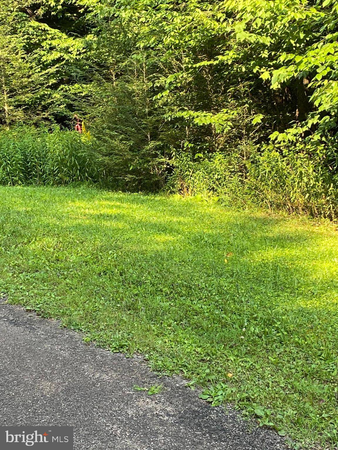 Frostburg, MD 21532,WALNUT DR, LOT 17