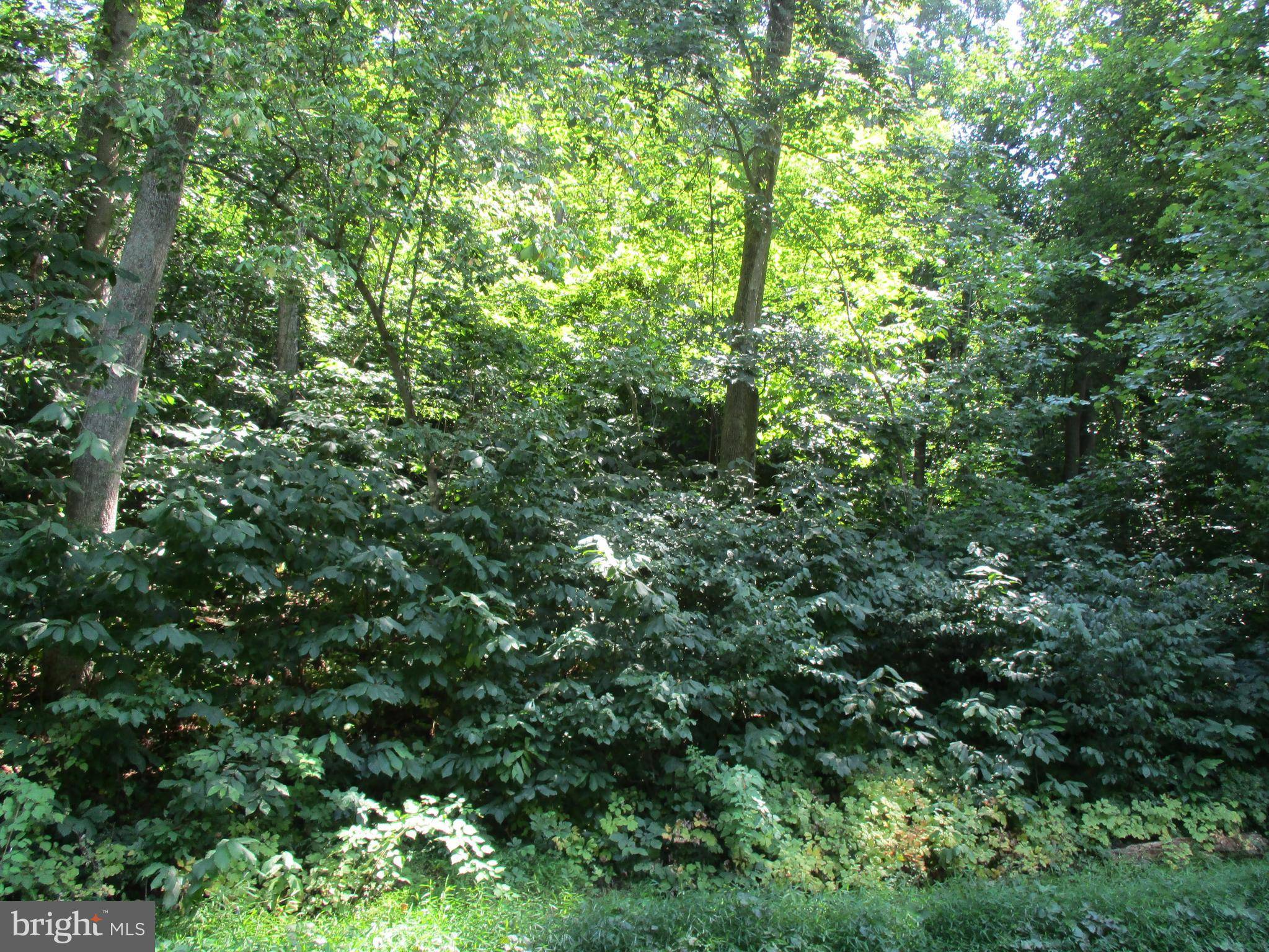 Harpers Ferry, WV 25425,LOT B WILT RD