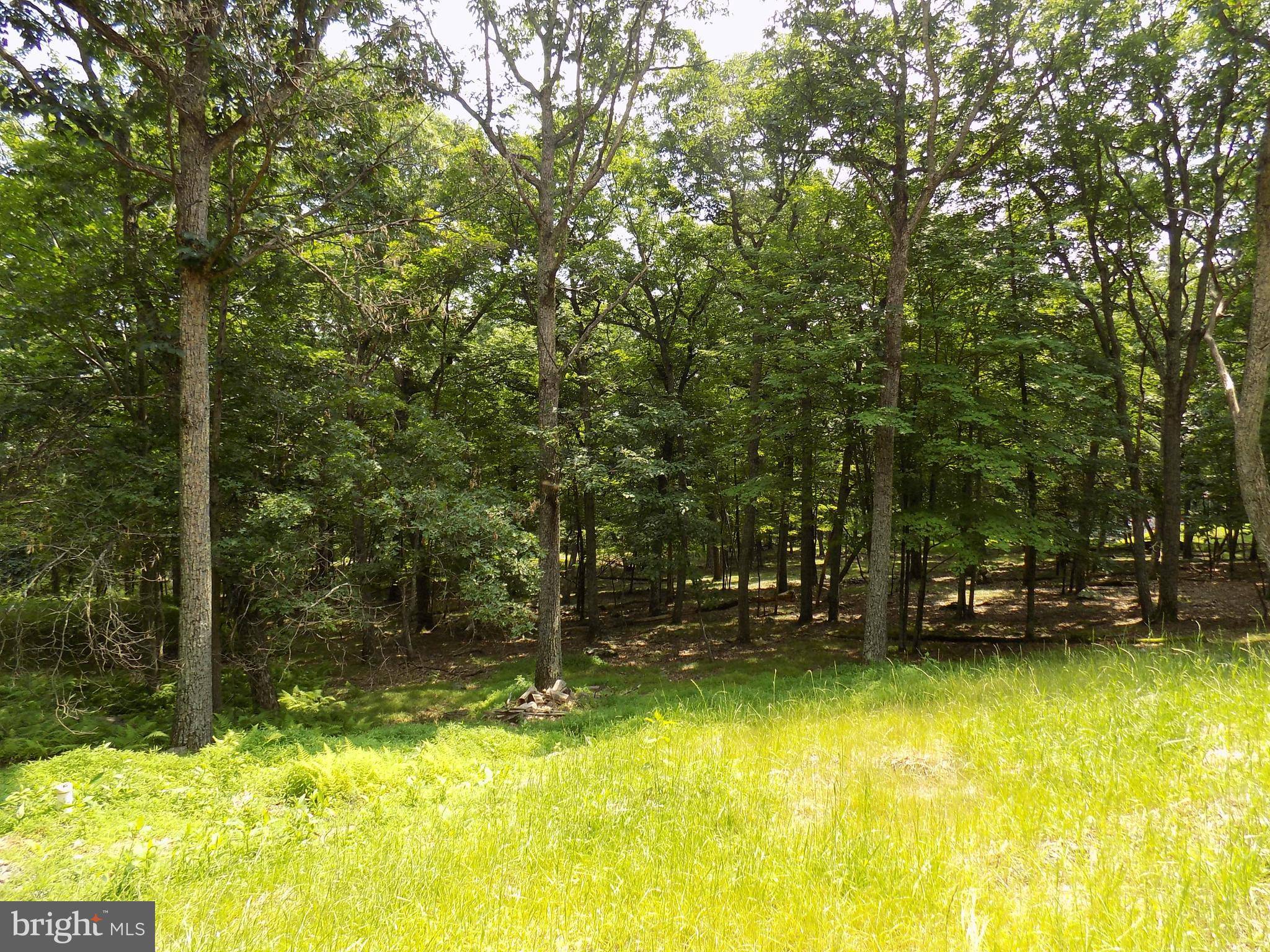 Bushkill, PA 18324,181 MOCKINGBIRD CT