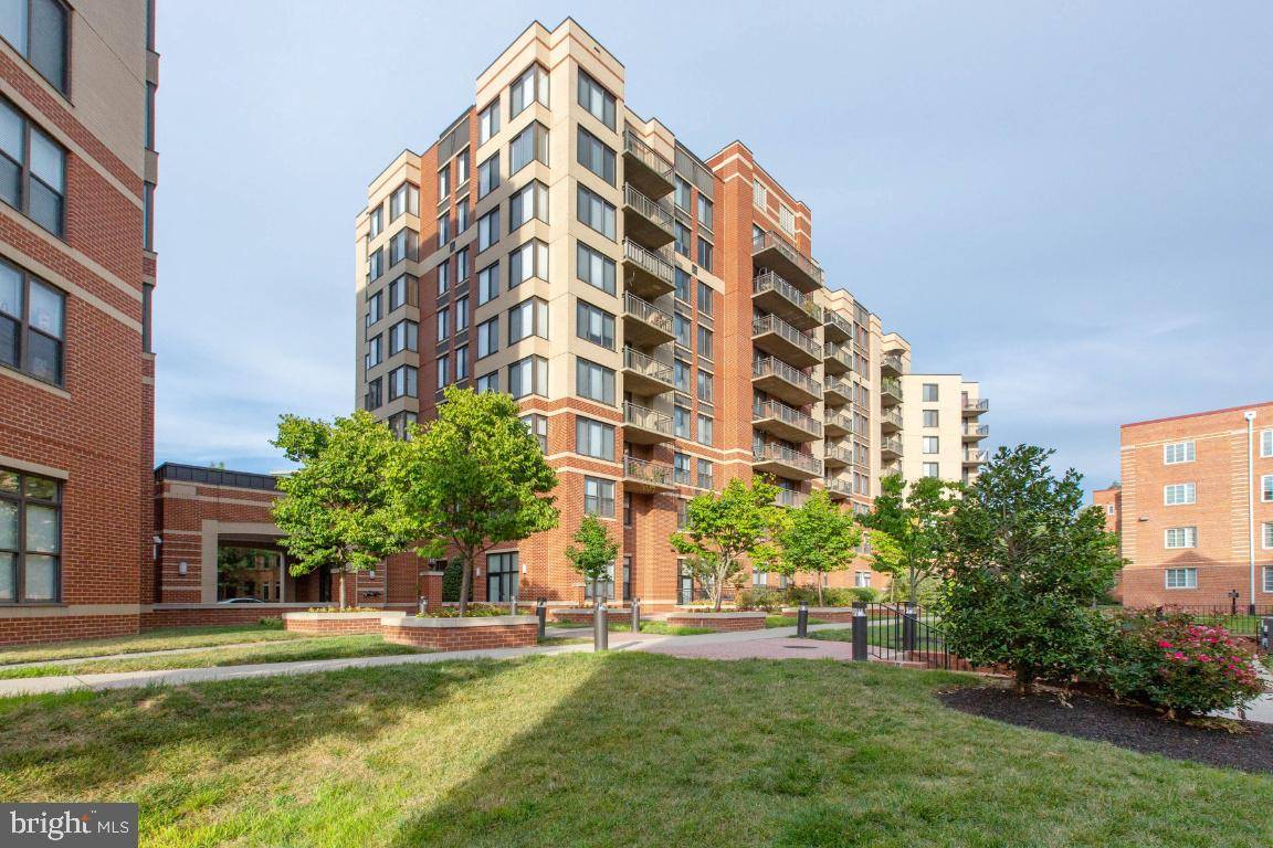 Arlington, VA 22201,2220 FAIRFAX DR #204