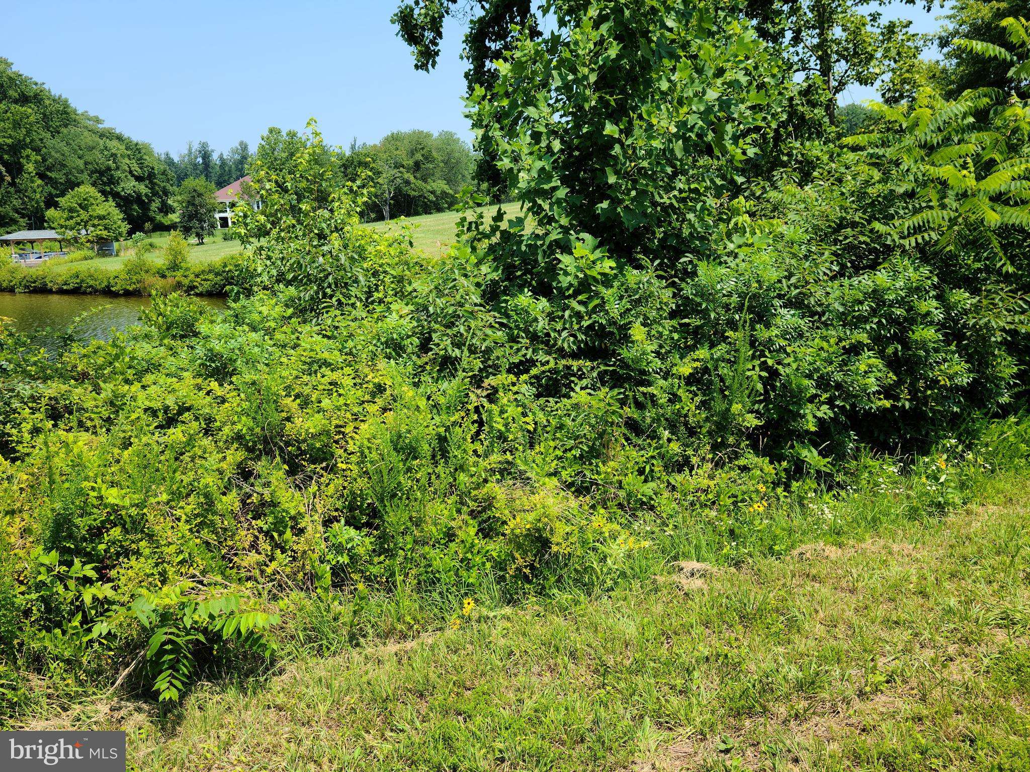 Mineral, VA 23117,LOT 30 SHORELINE DRIVE