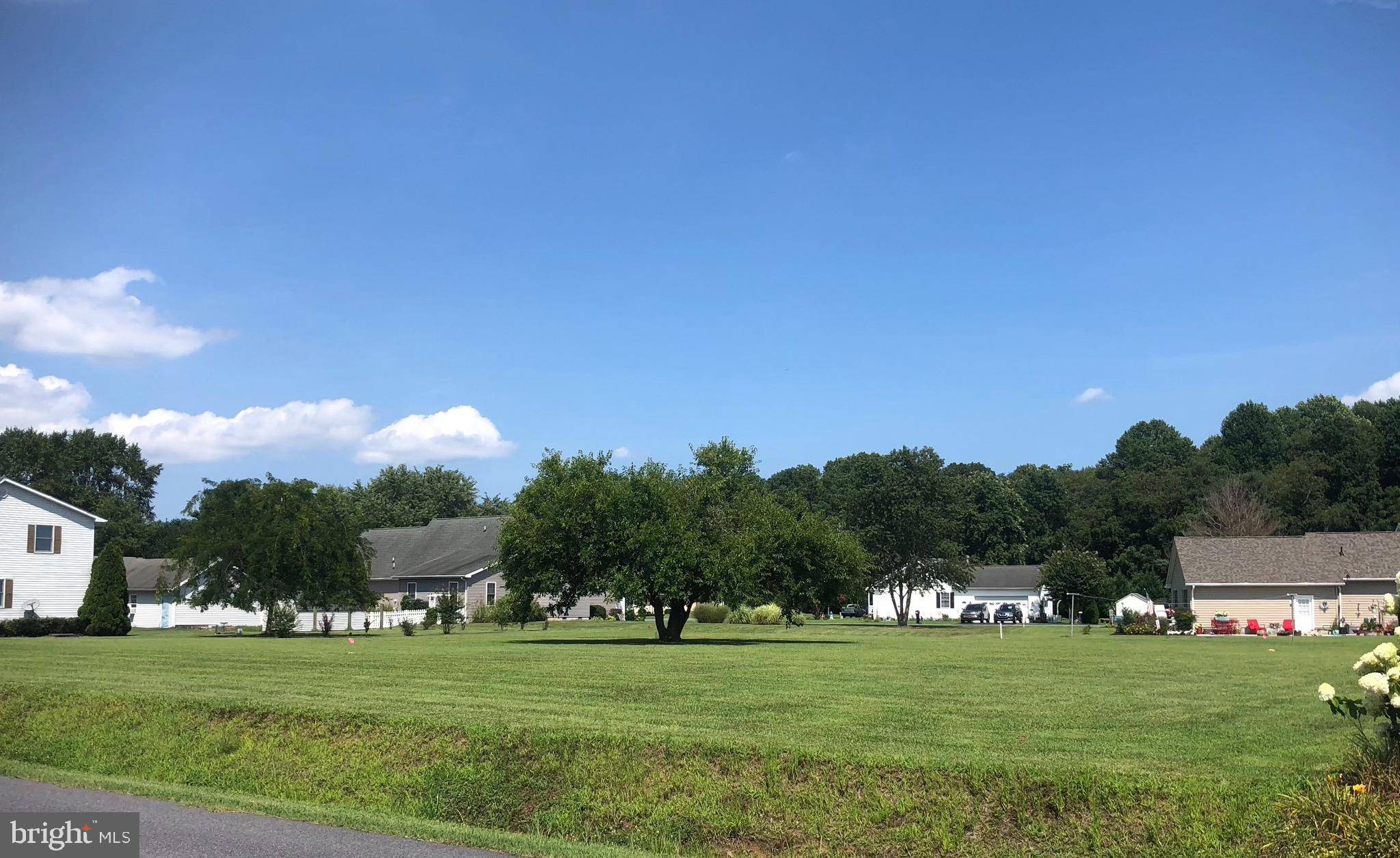 Dagsboro, DE 19939,LOT 14 DOGWOOD ACRES ROAD