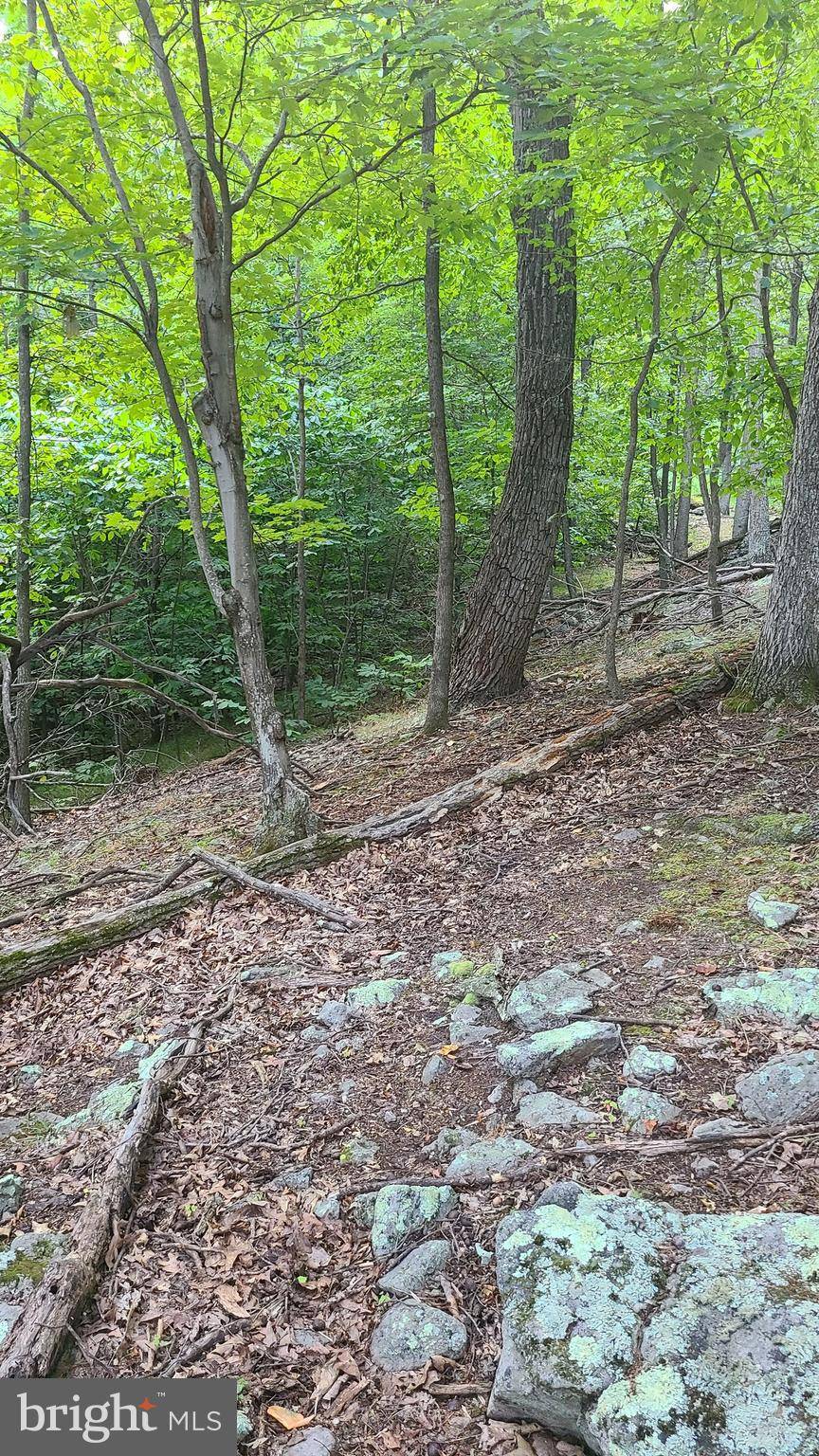 Upper Tract, WV 26866,LOT #30 KERNS DRIVE