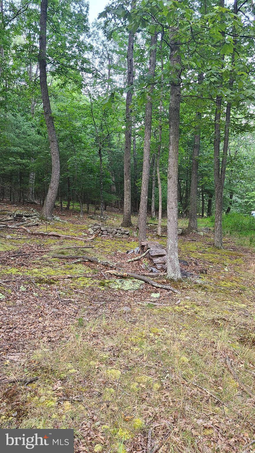 Upper Tract, WV 26866,LOT #30 KERNS DRIVE