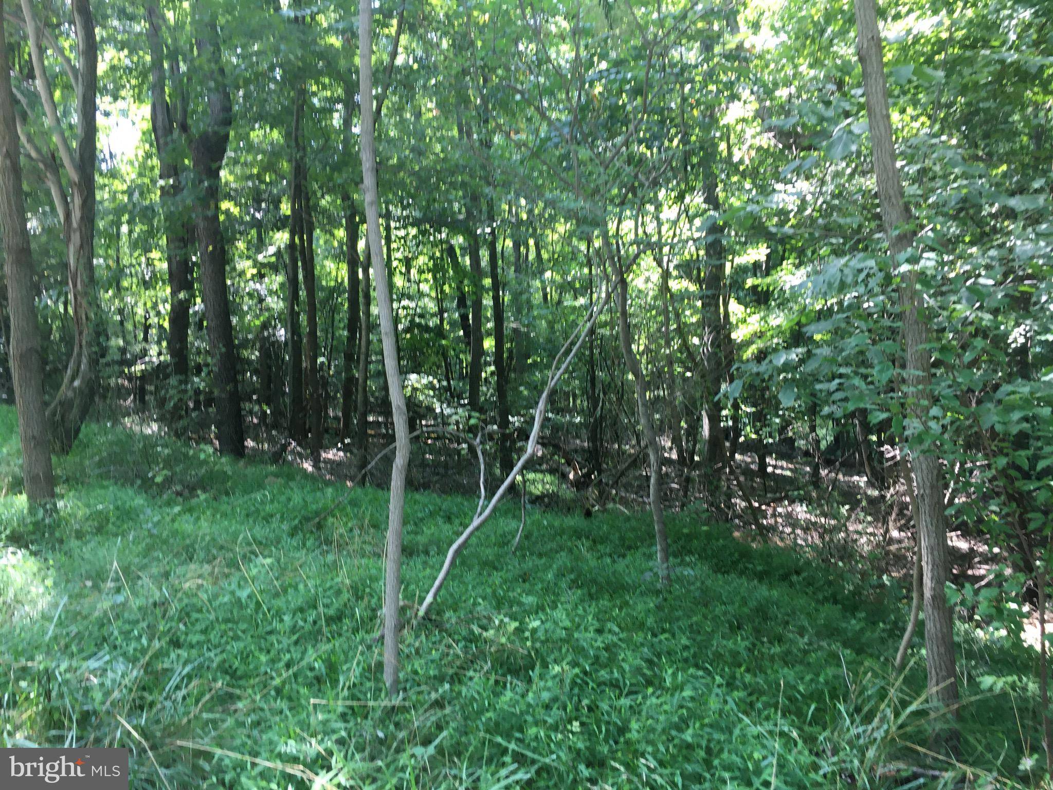 New Creek, WV 26743,LOT 5 YOST ROAD