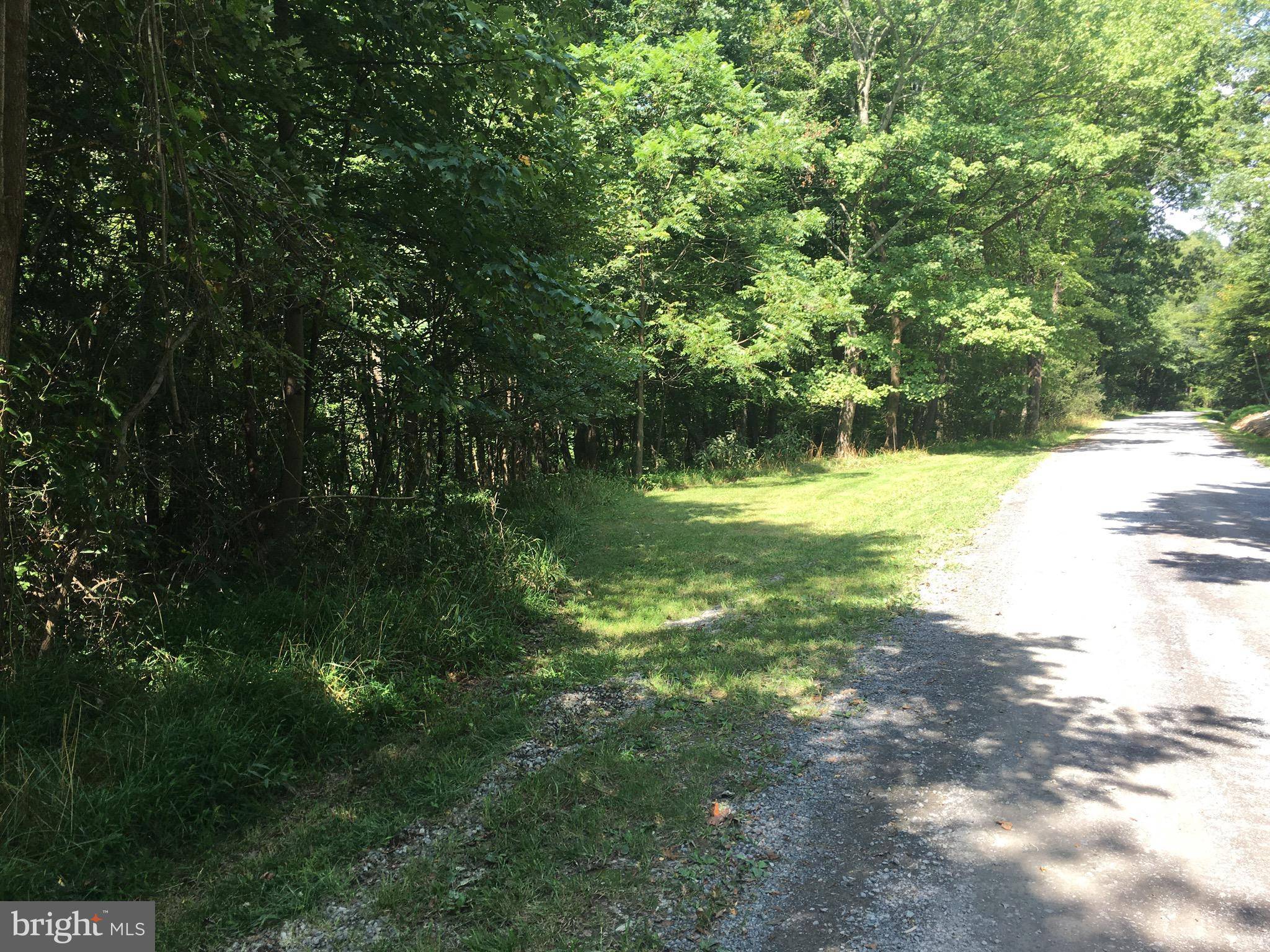 New Creek, WV 26743,LOT 5 YOST ROAD