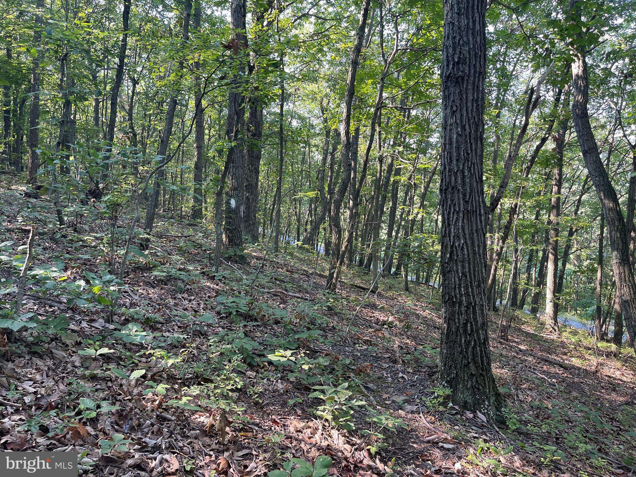 Clearville, PA 15535,LOT 8 RICE ROAD