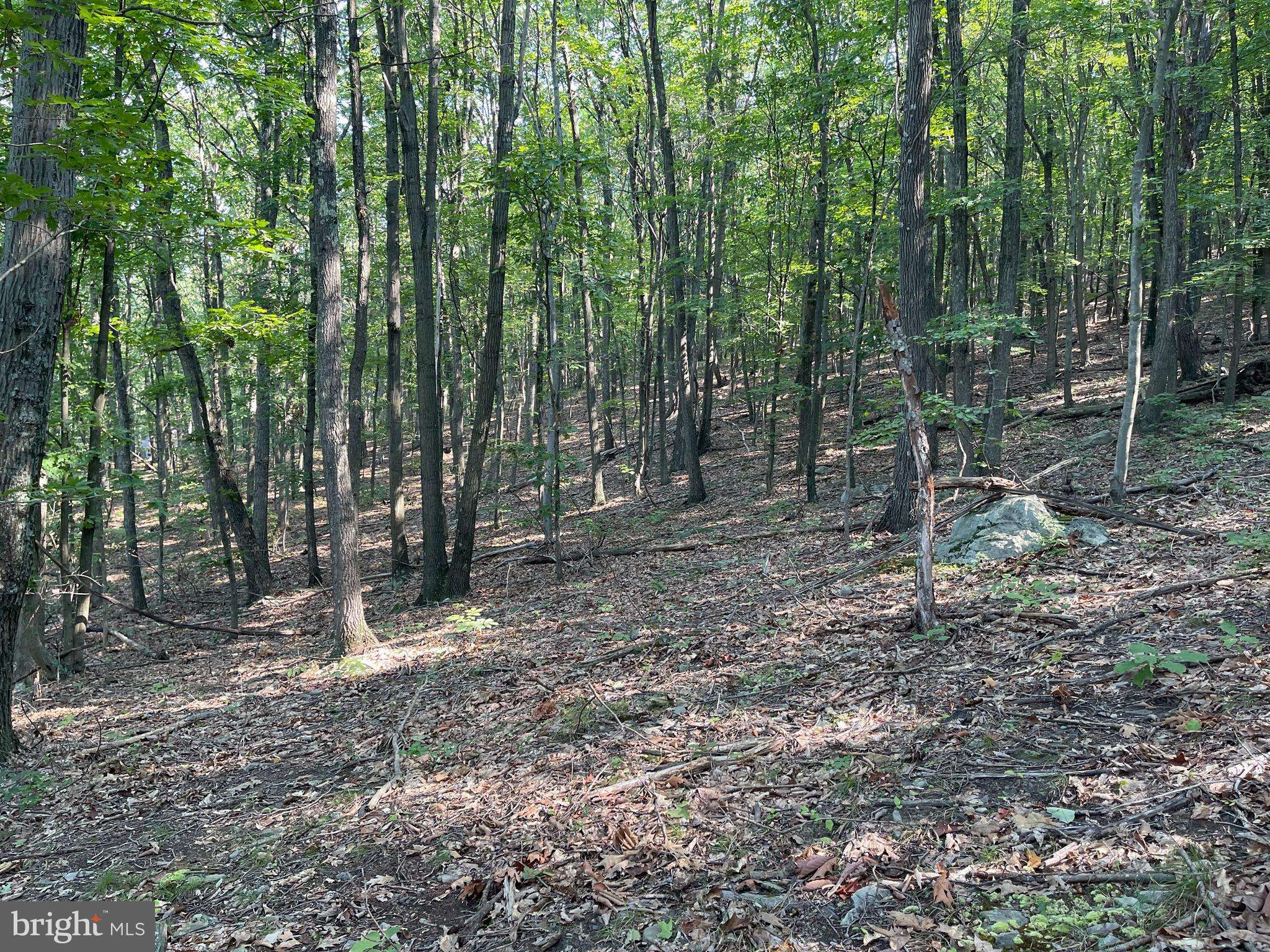 Clearville, PA 15535,LOT 8 RICE ROAD