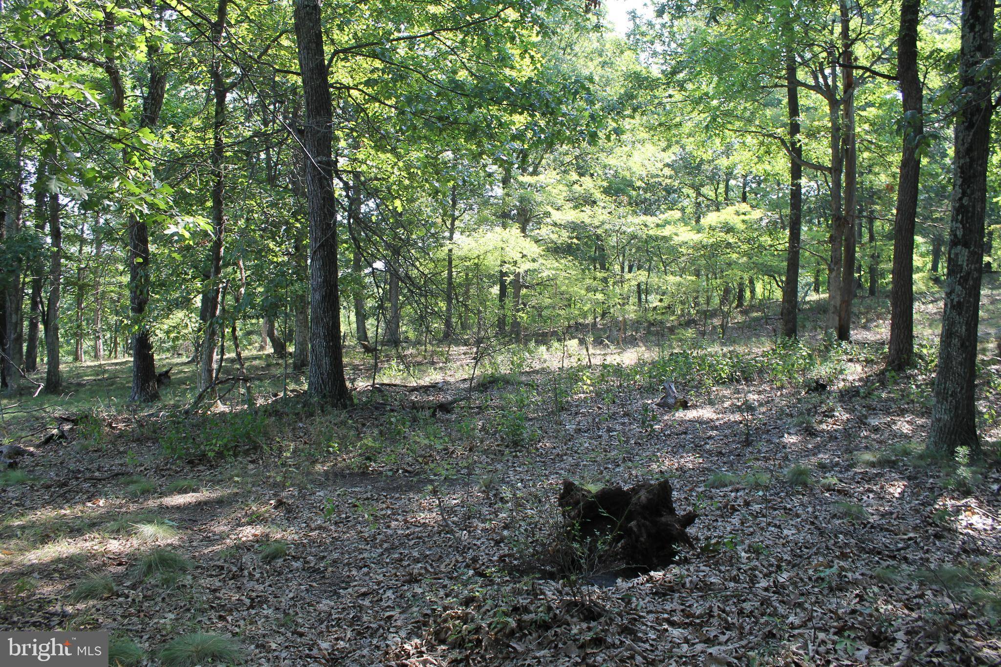 Fort Ashby, WV 26719,125 ACRES FORT ASHBY ROAD