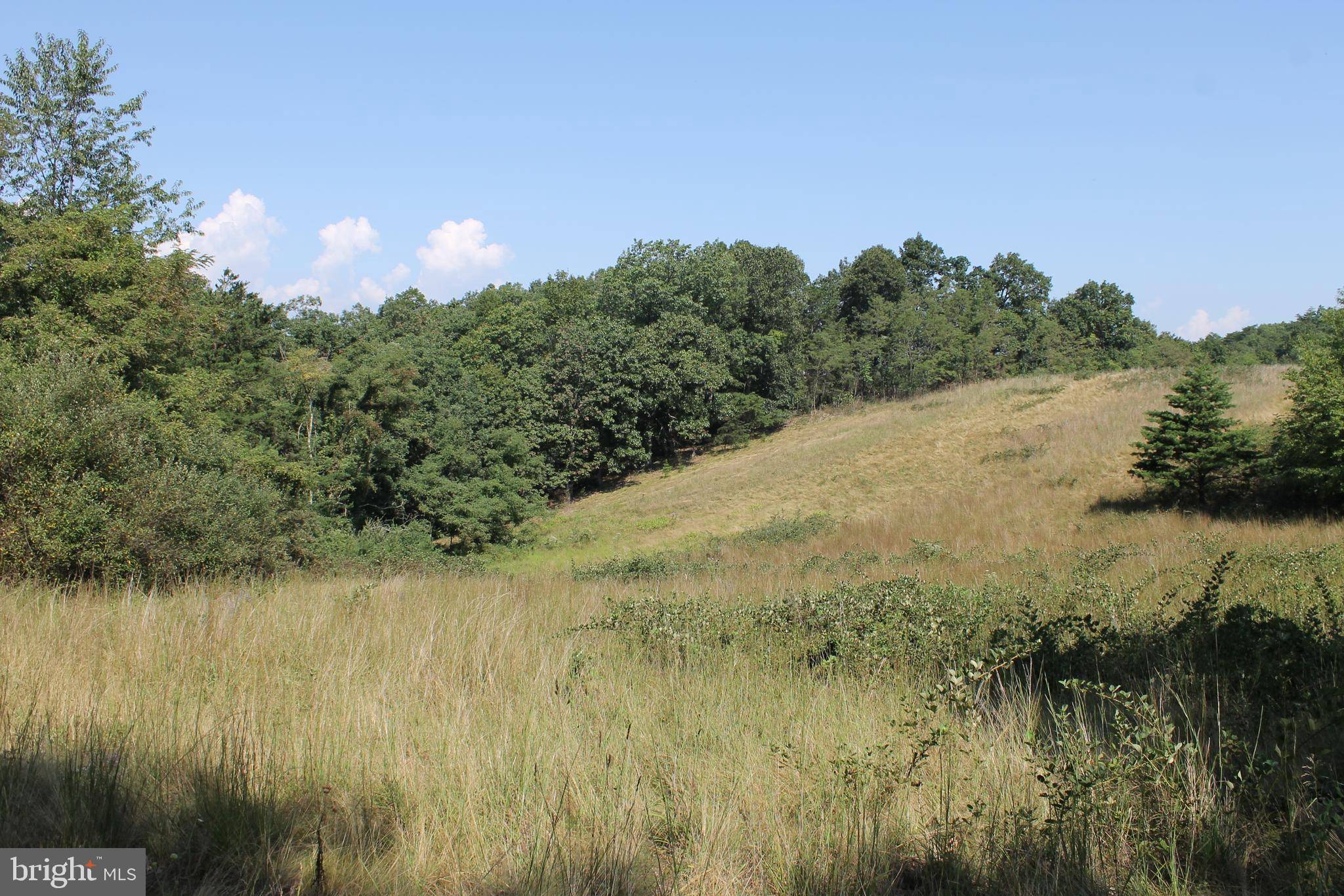 Fort Ashby, WV 26719,125 ACRES FORT ASHBY ROAD