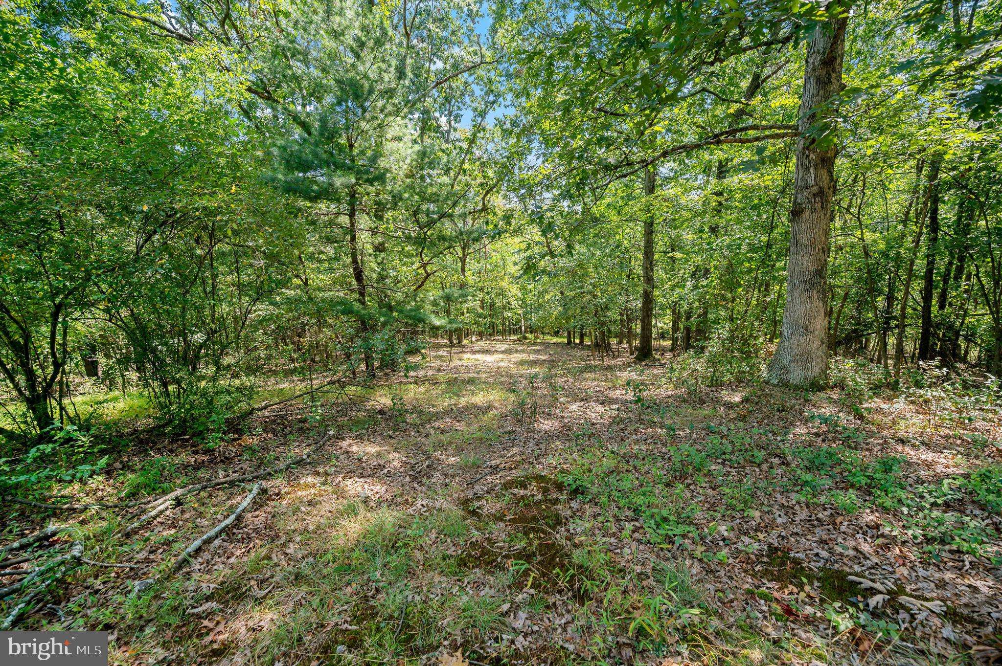 Berkeley Springs, WV 25411,LOT 3C FAIRVIEW DRIVE