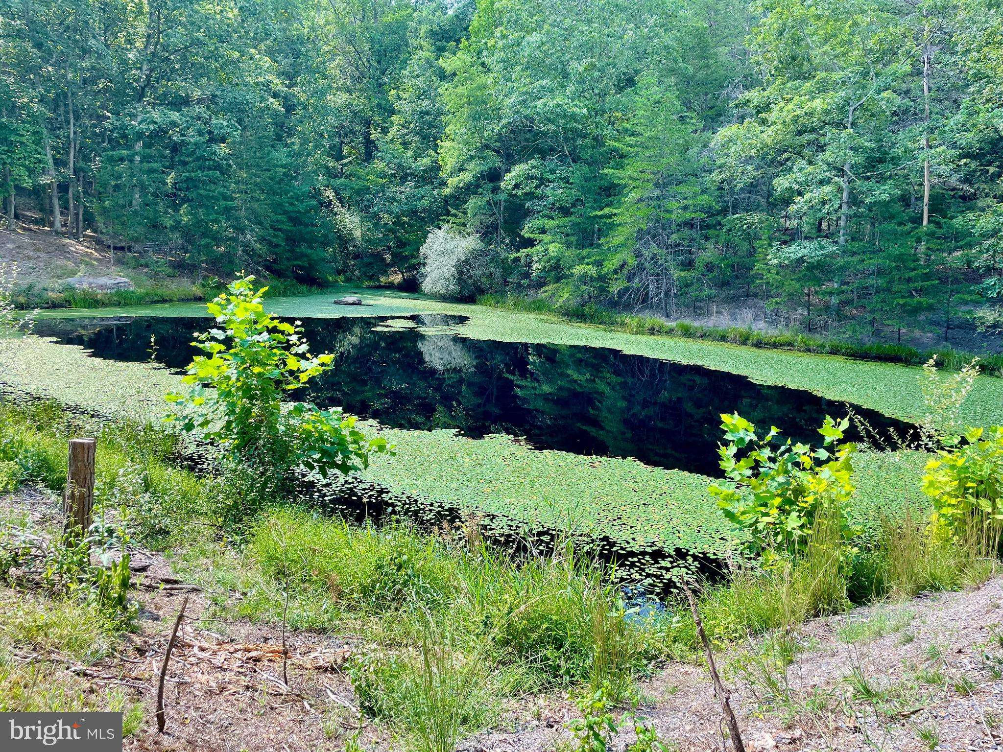 Wardensville, WV 26851,1168 TROUT RUN CUT OFF ROAD