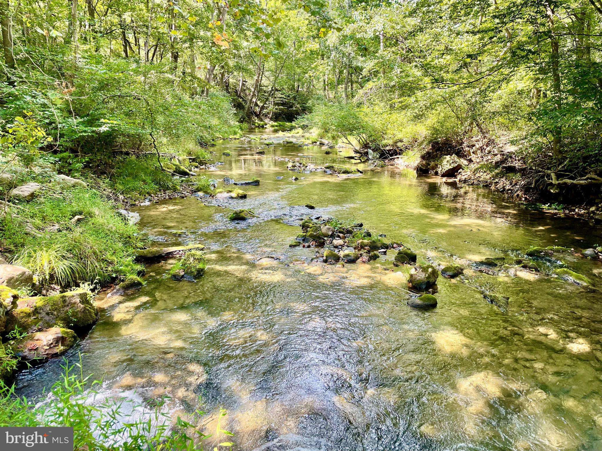 Wardensville, WV 26851,1168 TROUT RUN CUT OFF ROAD