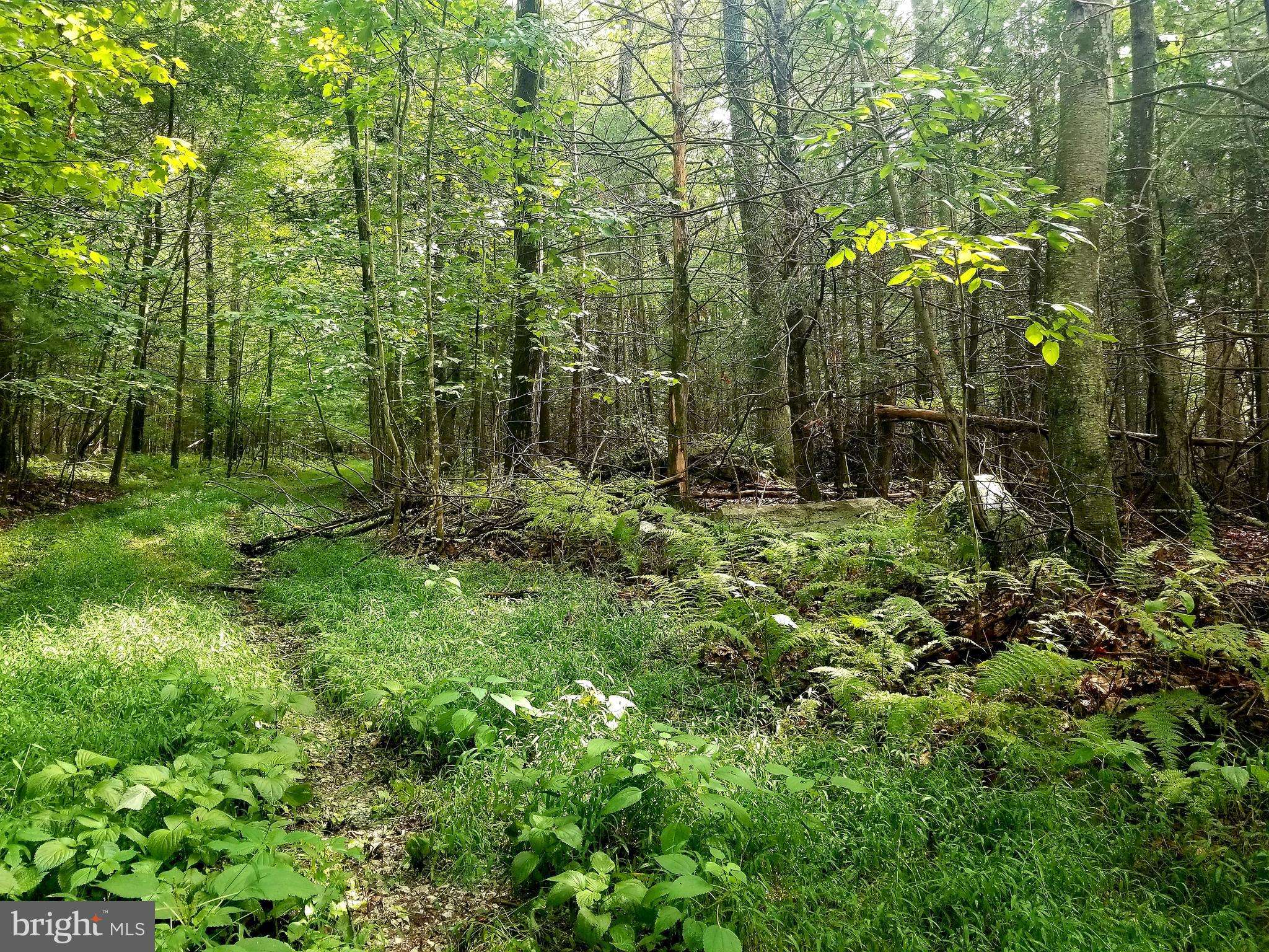 Fairfield, PA 17320,0-LOT 4 TAPEWORM LN