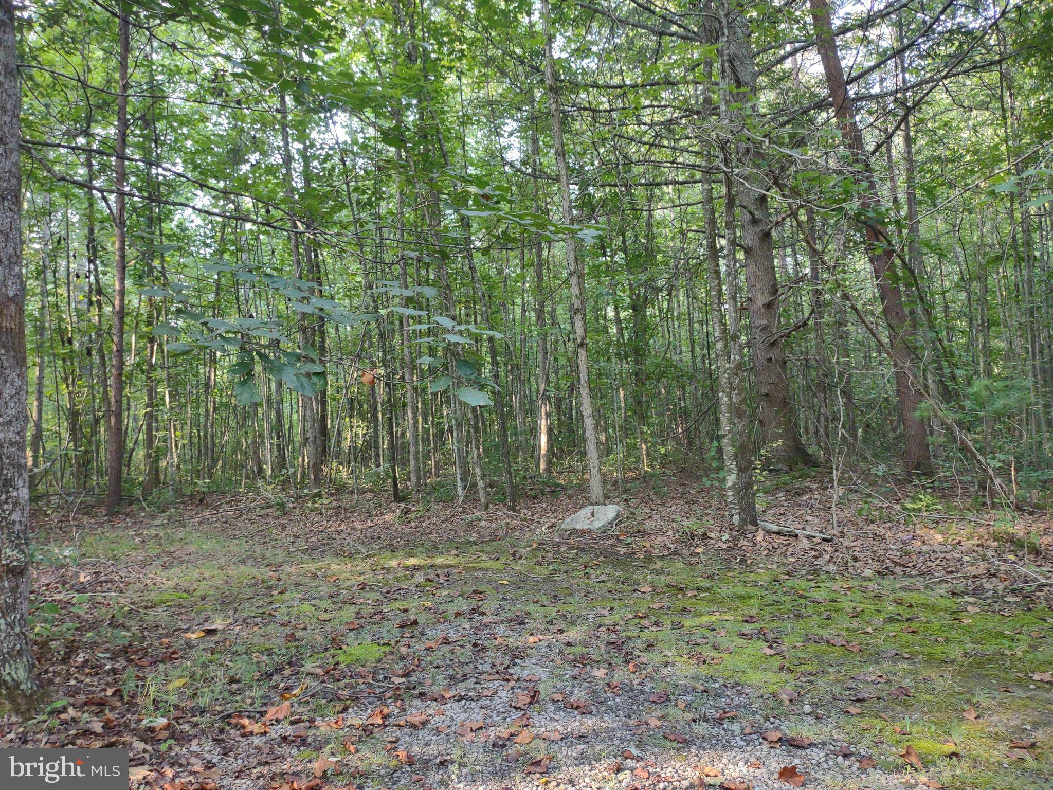 Dyke, VA 22935,0 SOPHIES PINE LANE