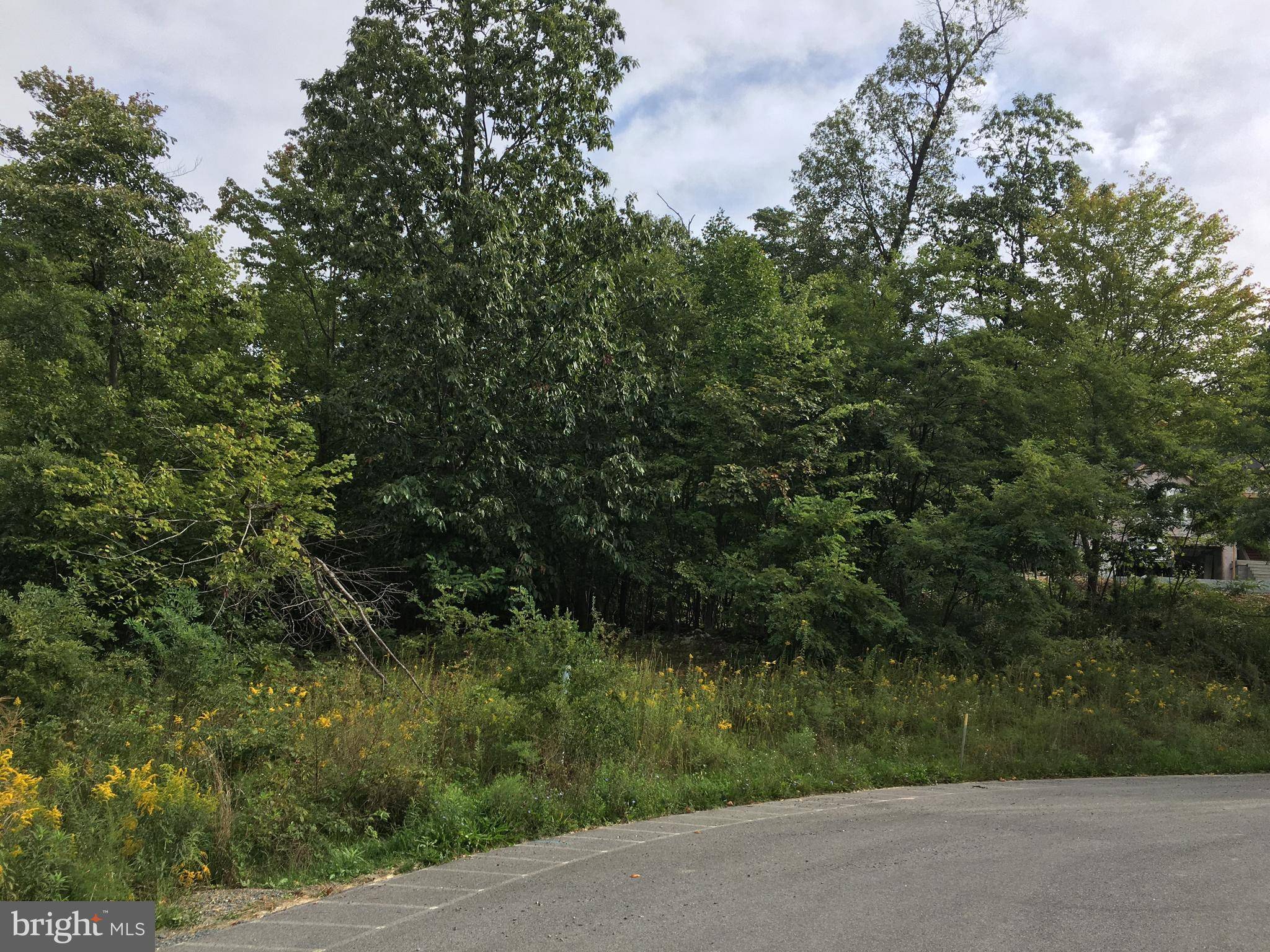 Waynesboro, PA 17268,9 ARIELLE LN #LOT #9