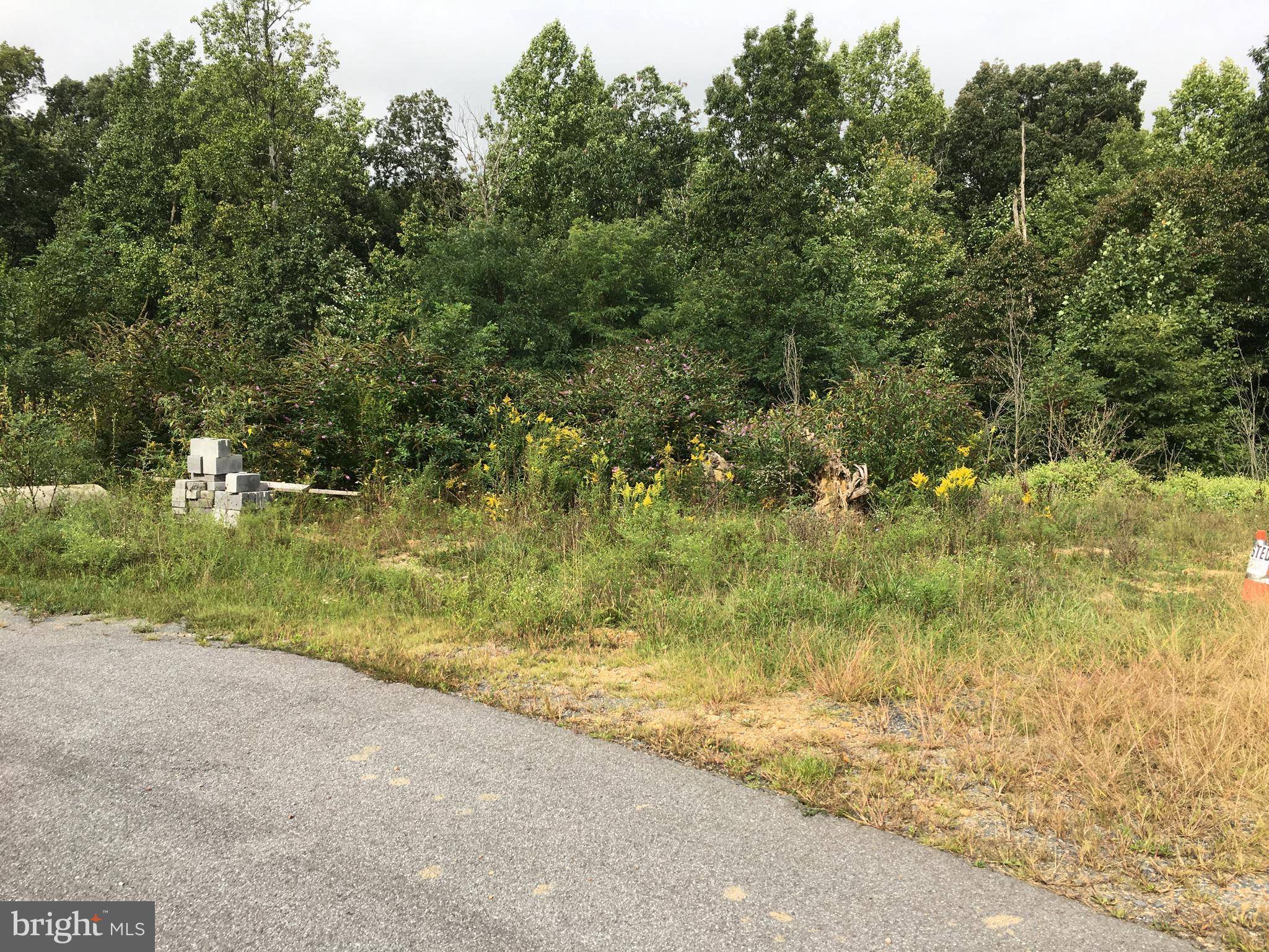 Waynesboro, PA 17268,4 SETH LN #LOT #4